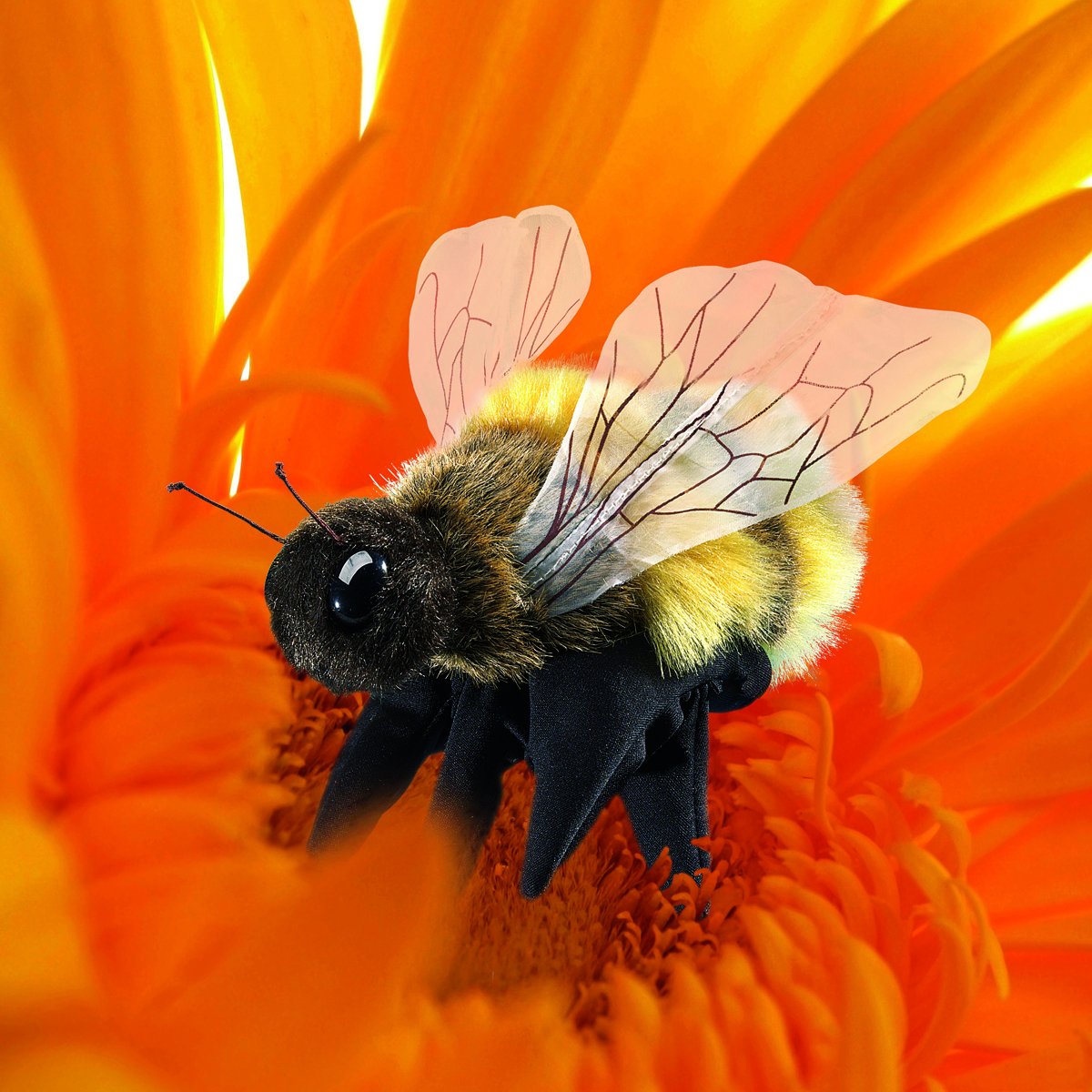 Folkmanis Honey Bee Hand Puppet, Yellow, Black (3028)