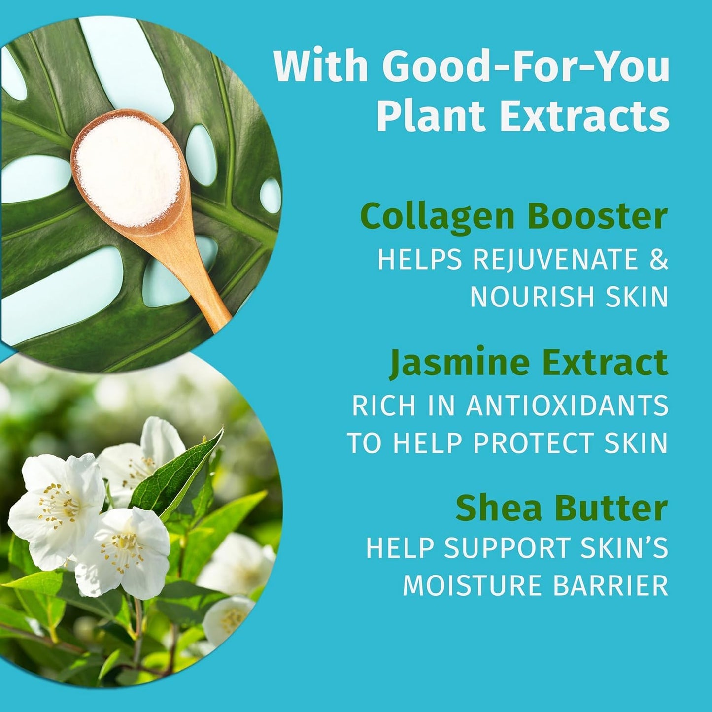 Hempz Sweet Jasmine & Rose Herbal Body Moisturizer 17oz – Vegan Lotion with Hemp Seed Oil, Collagen & Shea Butter for Dry Skin