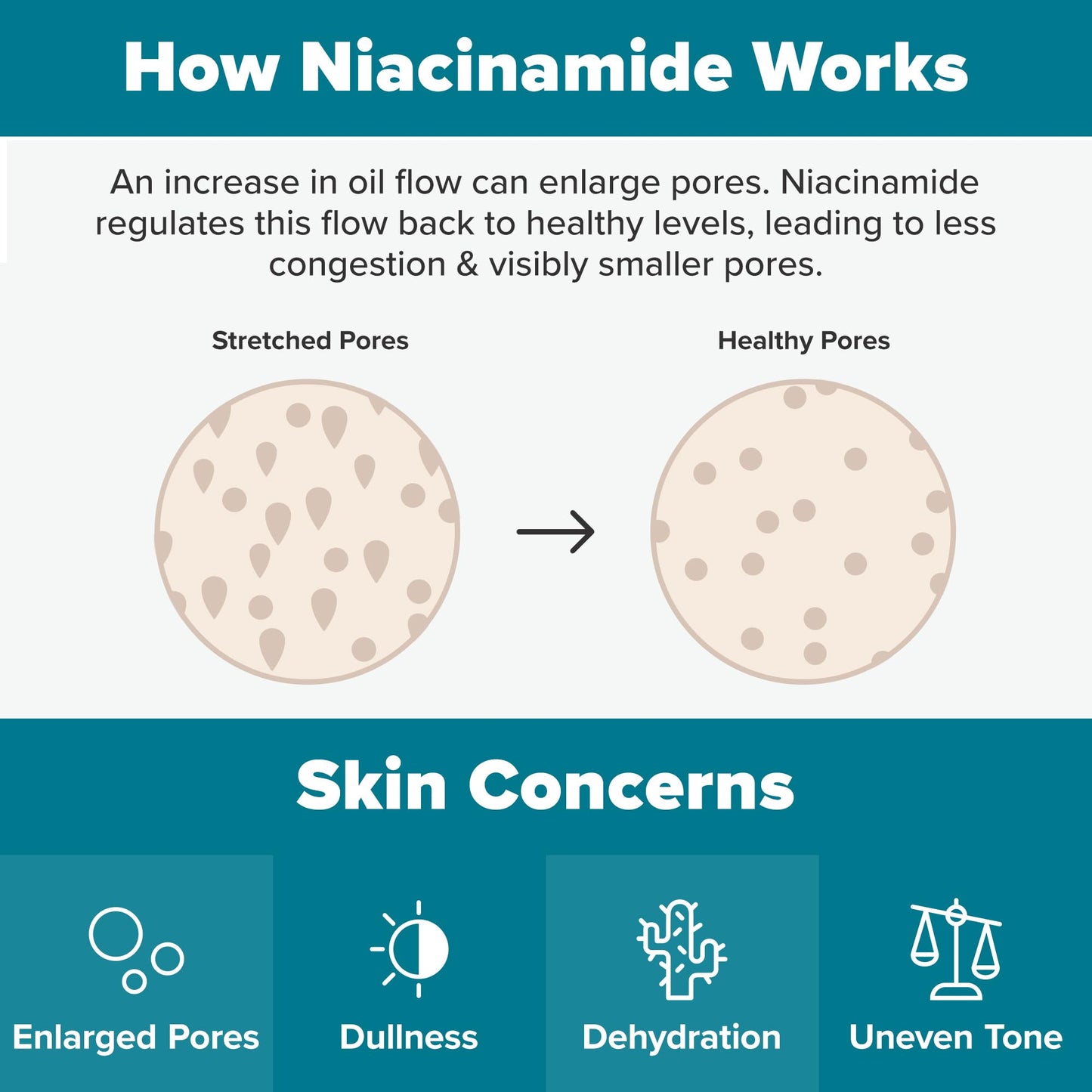 Paula's Choice SKIN BALANCING Pore-Reducing Toner with Niacinamide for Oily & Combination Skin, Minimizes Pores, Controls Oil & Hydrates, 6.4 oz