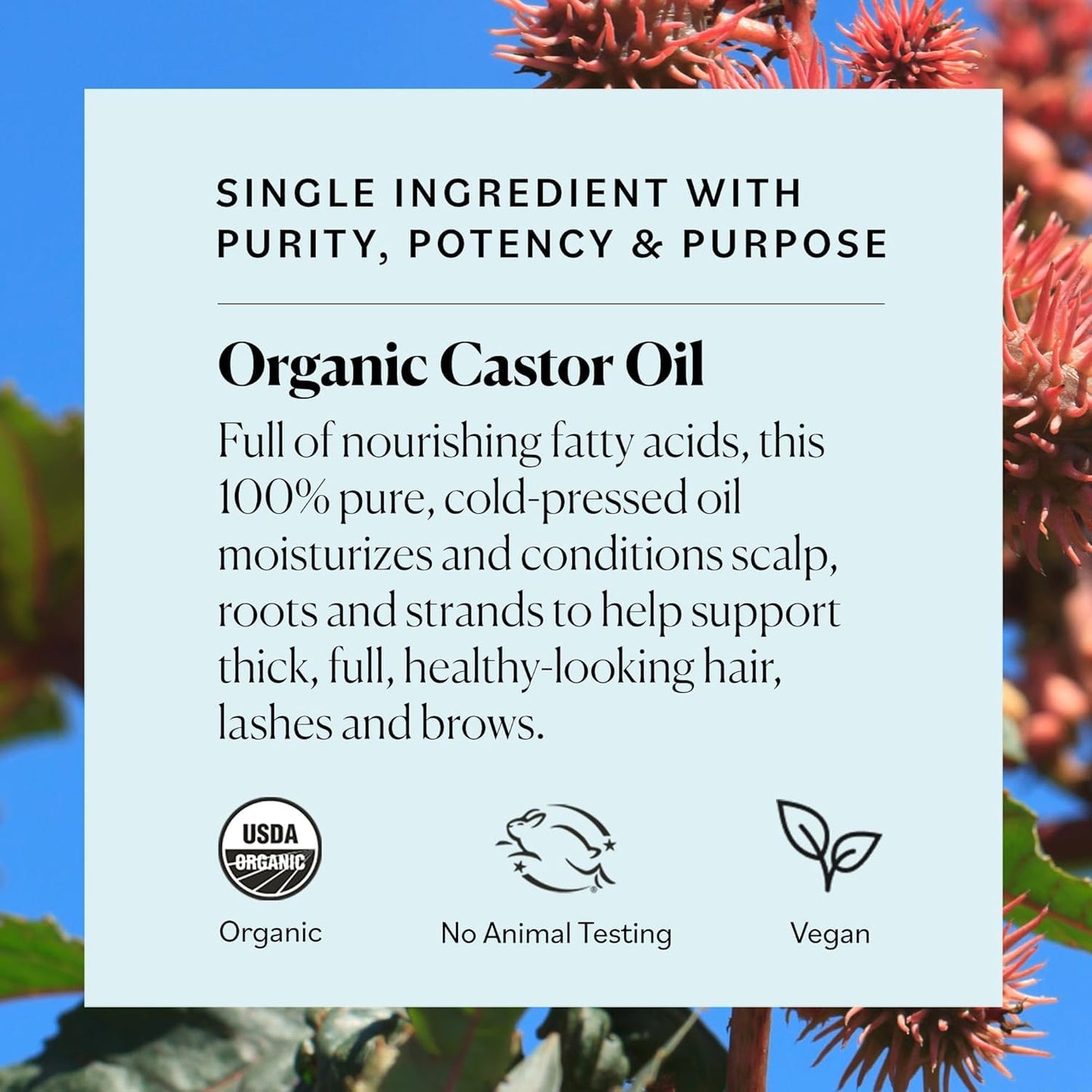 Sky Organics Organic Castor Oil Eyelash & Brow Serum, Hexane-Free, 100% Pure Cold-Pressed, Fuller Lashes & Brows, 1 fl. Oz + eBook