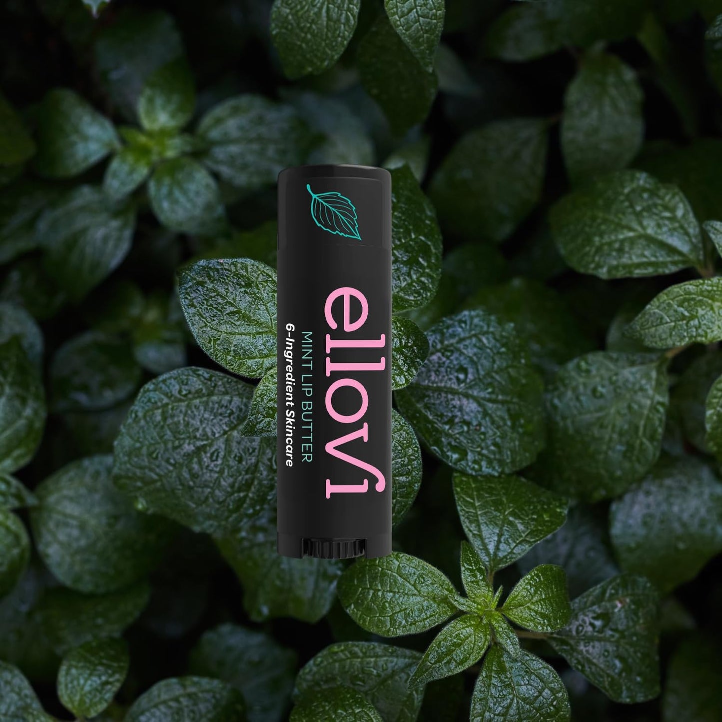 Ellovi Natural Mint Lip Butter Balm – Ultra-Hydrating Vegan Lip Care Made with 6 Pure Edible Ingredients – Moisturizes & Softens Lips All Day