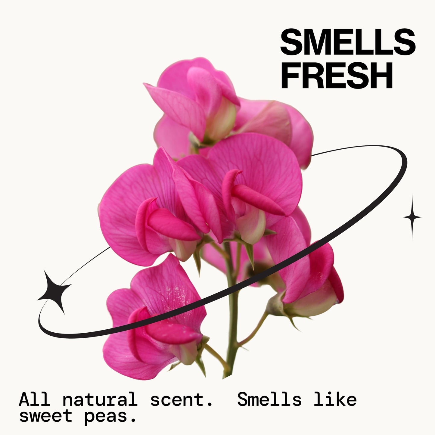 Pacifica Dry Shampoo Powder – Waterless Refresh & Instant Volumizer, Adds Texture, Absorbs Oil, Non-Aerosol, Vegan & Dermatologist Tested