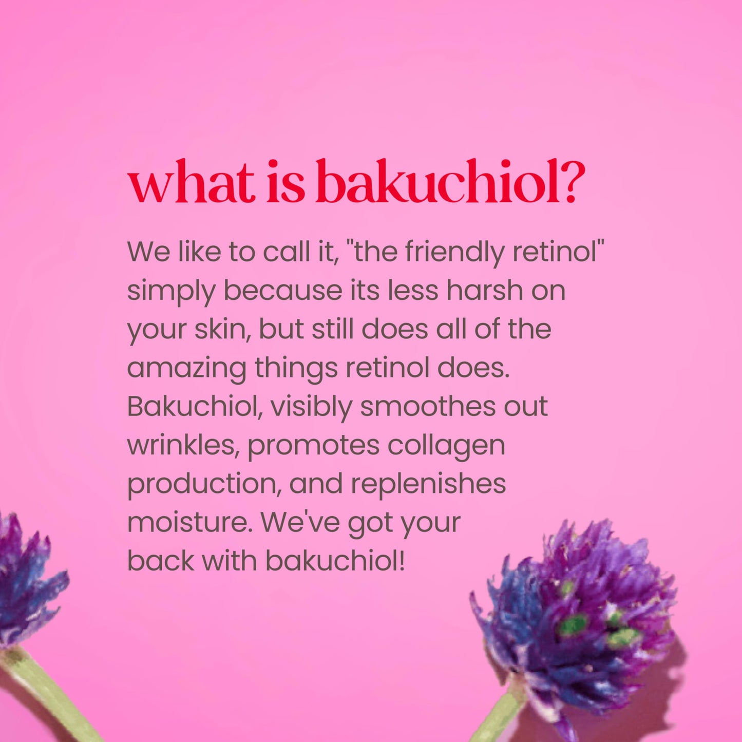 Burt's Bees Renewal Firming Eye Cream with Natural Retinol Alternative, Reduces Wrinkles, Fine Lines & Dark Circles, 99% Natural, 0.5 oz