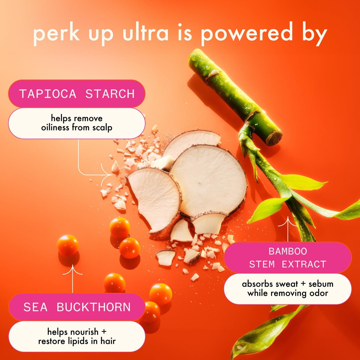amika Perk Up Ultra Oil Control Dry Shampoo, 5.3oz