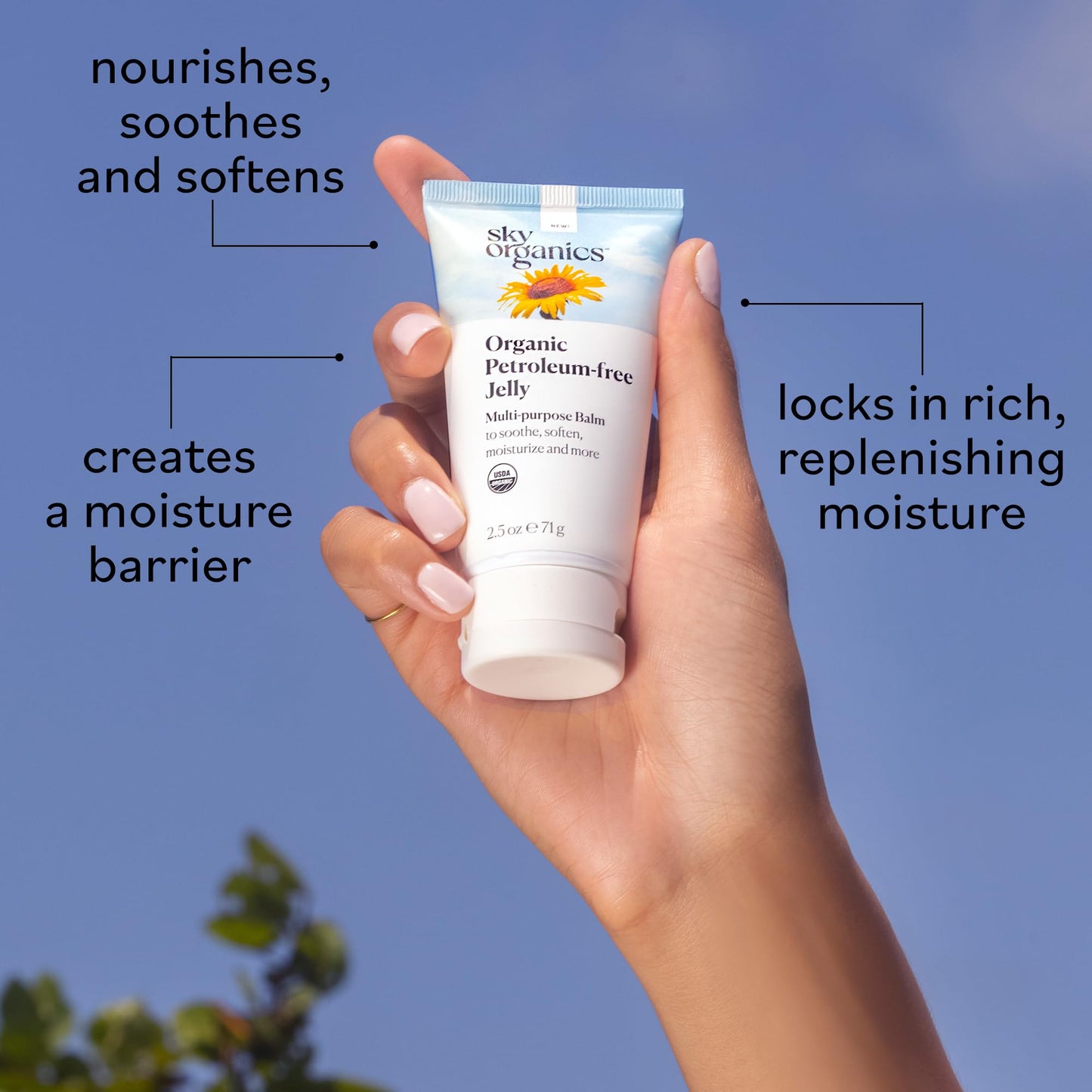 Sky Organics Petroleum-Free Organic Jelly Balm, Shea, Coconut & Olive Oils, Vitamin E – Moisturizer & Lip Care for Dry Skin, 2.5oz + Ebook