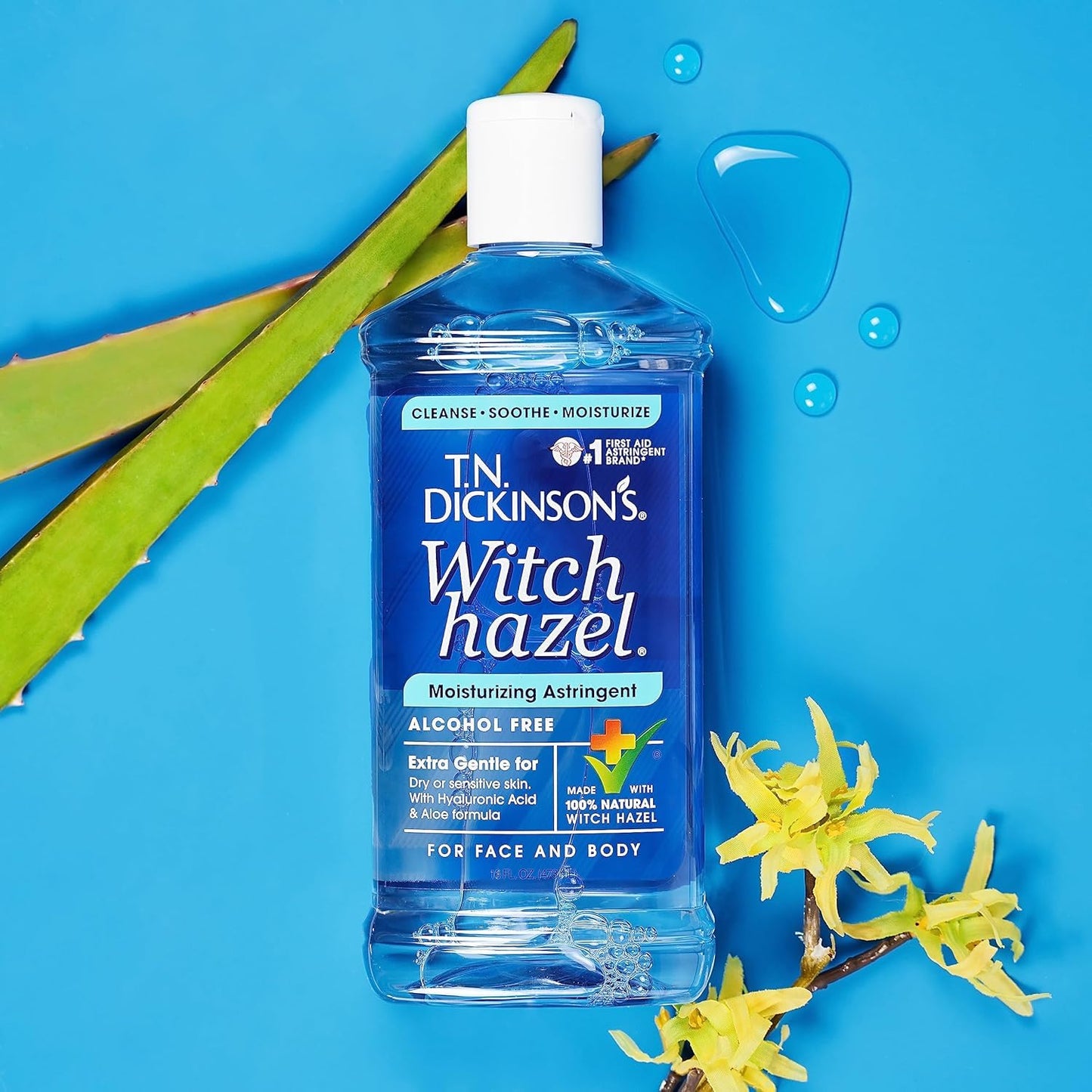 T.N. Dickinson's Alcohol-Free Witch Hazel Astringent – 100% Natural, Hydrates & Soothes Face & Body, 16 Fl Oz