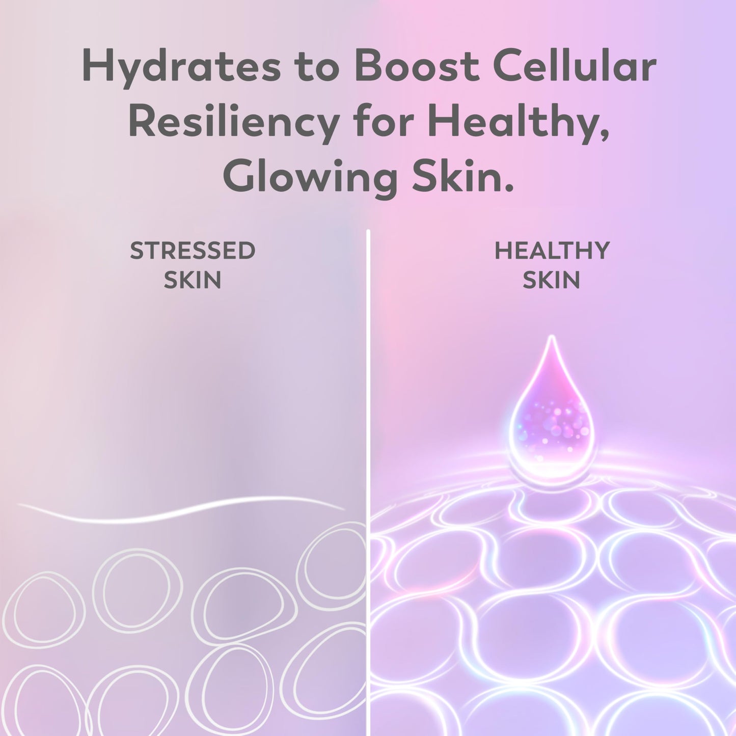 Olay Super Serum with Niacinamide, Vitamins C & E, Collagen Peptide & AHA – 5-in-1 Face Serum for Brightening, Hydrating & Firming, 1.7 oz