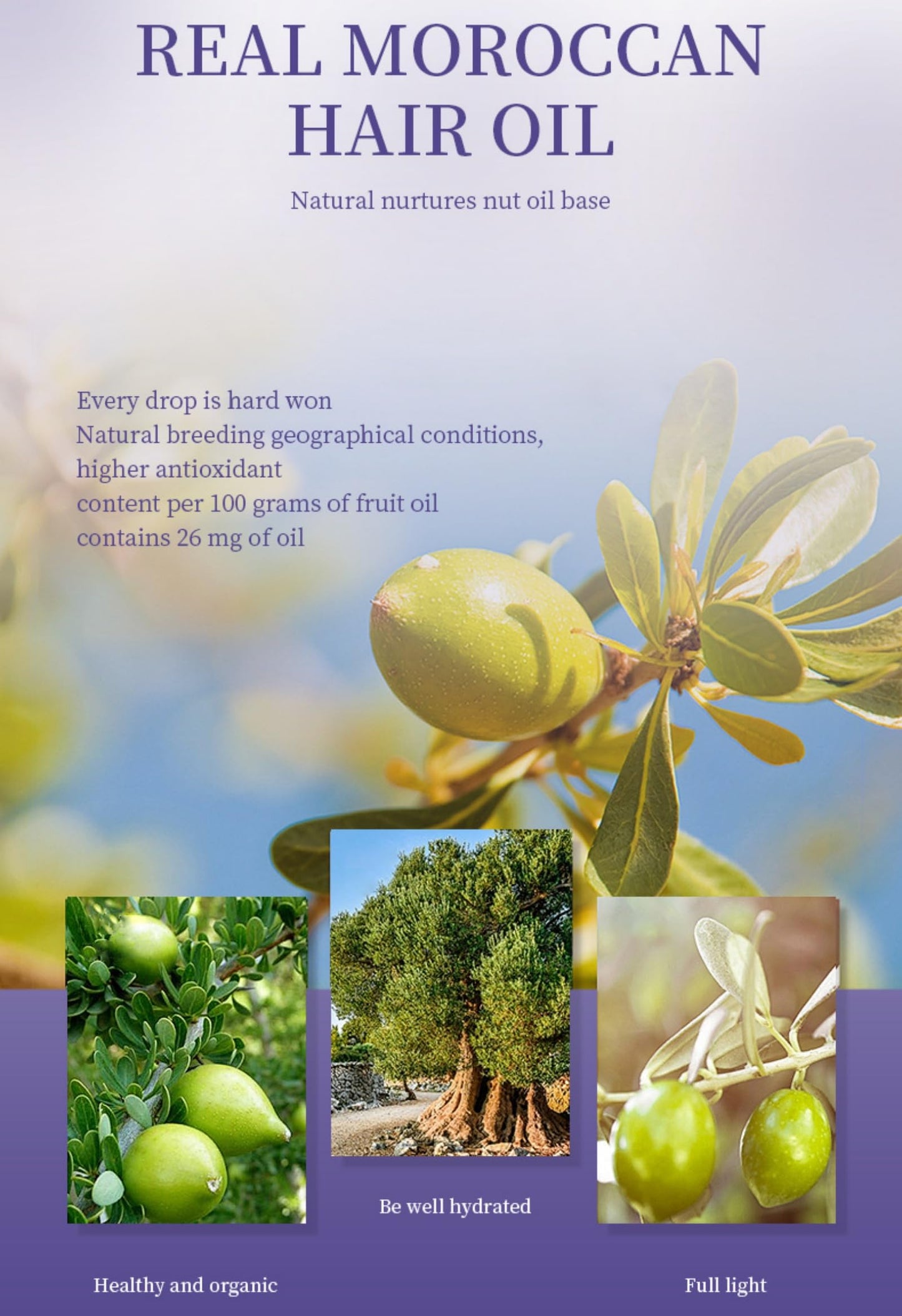 Purple Moroccan Hair Oil – Volumizing & Repairing Oil for Dry, Damaged, Tangled Hair | Plant-Based Formula for Moisture, Shine & Strength, 100ml