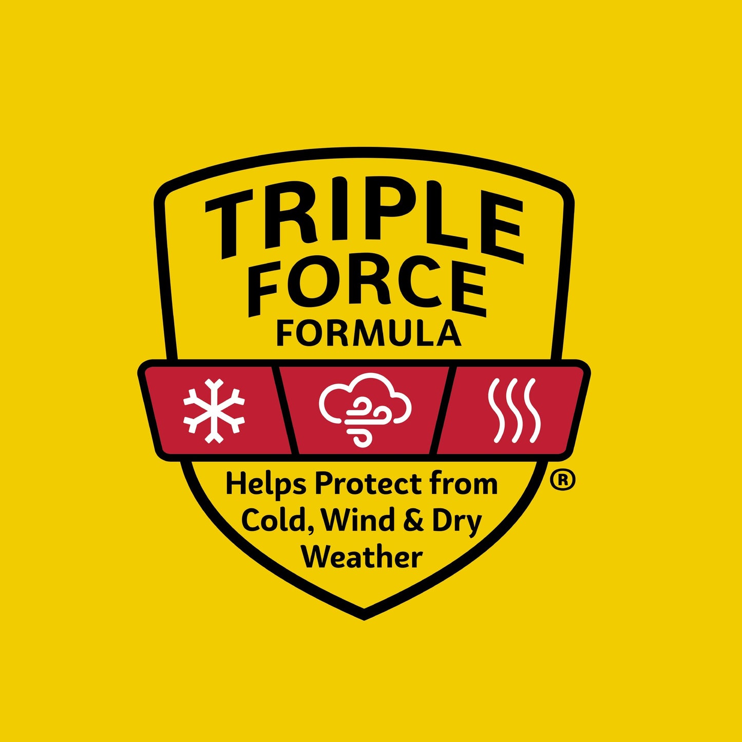 Carmex Classic Medicated Lip Balm Pack, Lip Moisturizer for Chapped Lips, 9-Count Variety Pack Bag (2 Tubes, 7 Sticks)