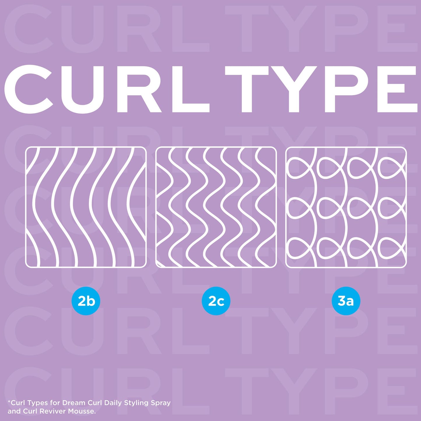 John Frieda Anti Frizz, Frizz Ease Dream Curls Daily Styling Spray for Curly Hair, Magnesium-enriched Formula, 6.7 Oz