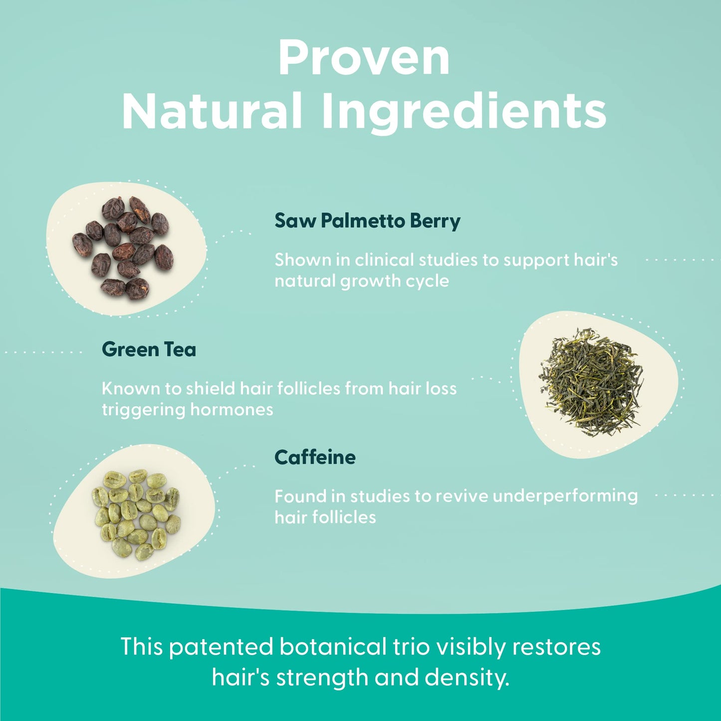 Shapiro MD Hair Loss Leave-In Conditioner – DHT Blocking Vegan Formula for Thinning Hair, Fuller & Thicker Look, Dermatologist Developed, 1-Month Supply