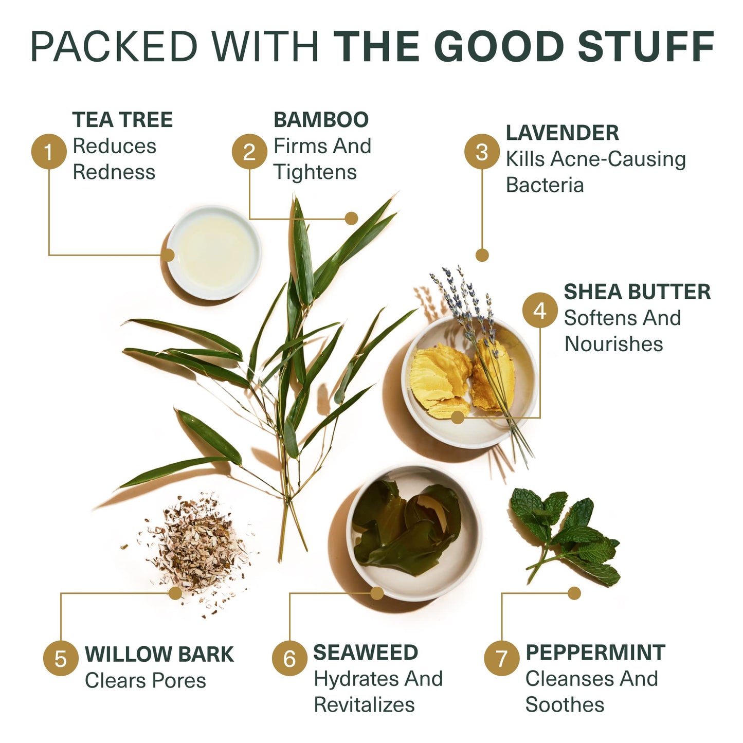 Botanic Tree Glycolic Acid Face Wash - Facial Cleanser and Scrub - 10% Glycolic Acid, AHA - Salicylic Cleanser - 6 fl. oz