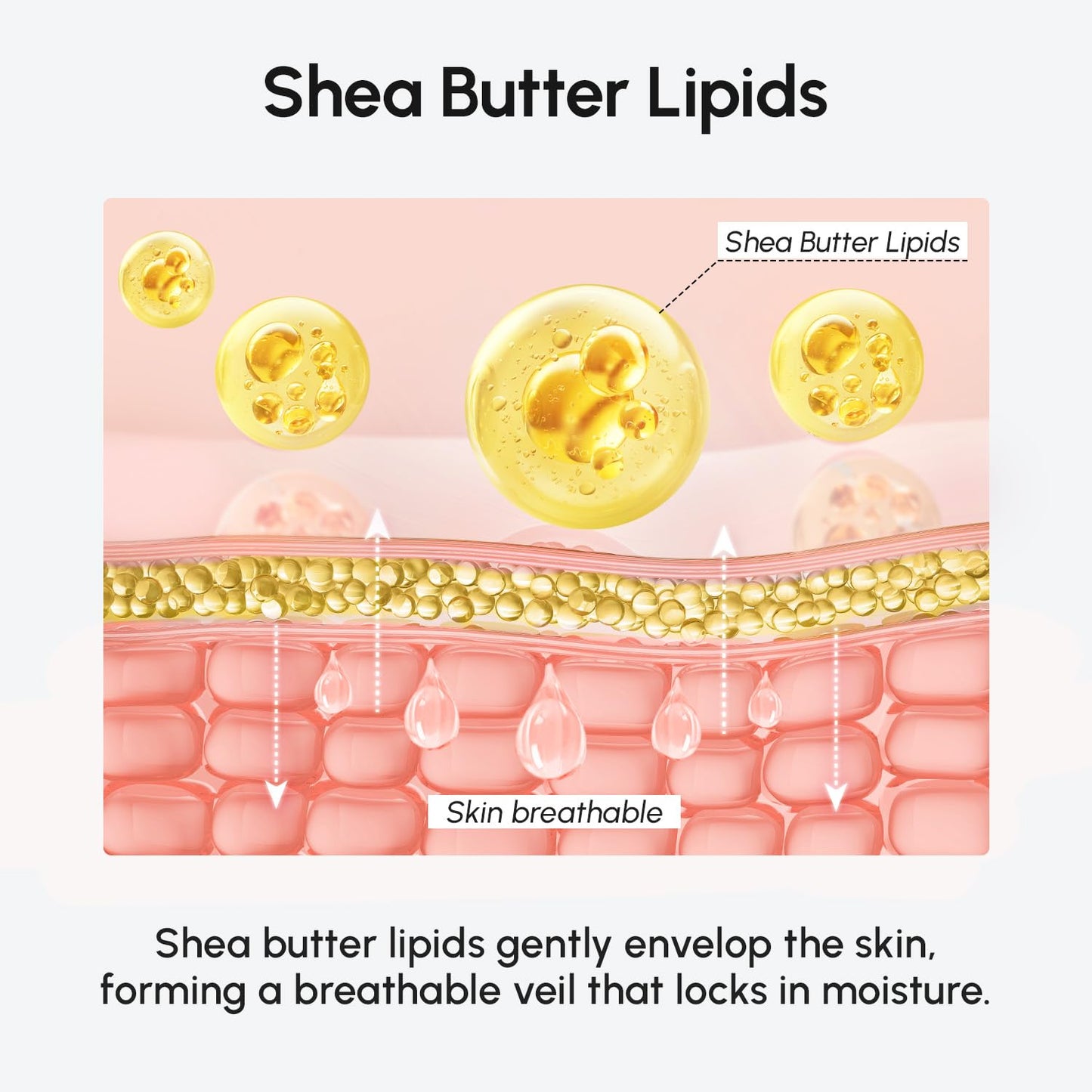 MAREE Body Mousse – Body Cream for Lasting Moisture