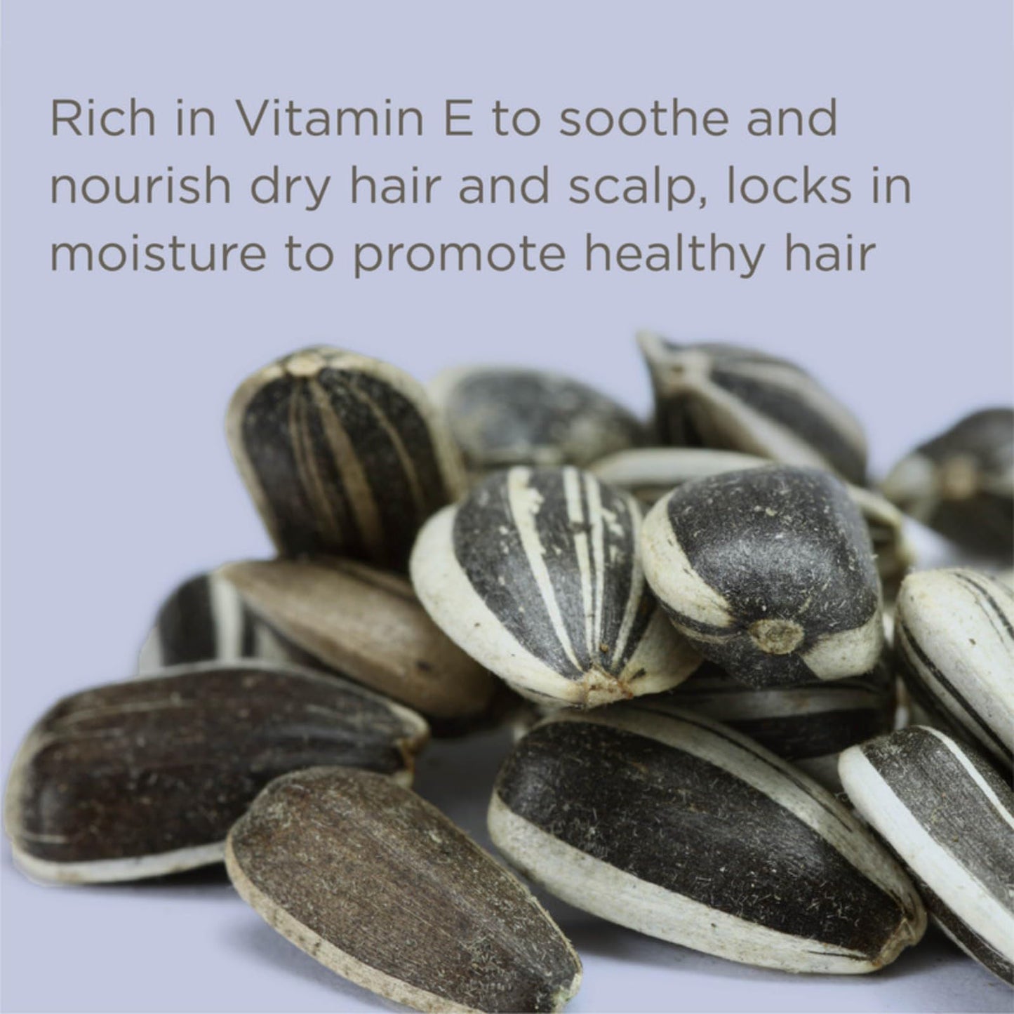 Hairitage Magic Spell Texturizing Spray | Volumizing Texture Spray with Rice Protein & Sunflower Seed Oil | For Straight, Wavy & Curly Hair, 5.9 oz