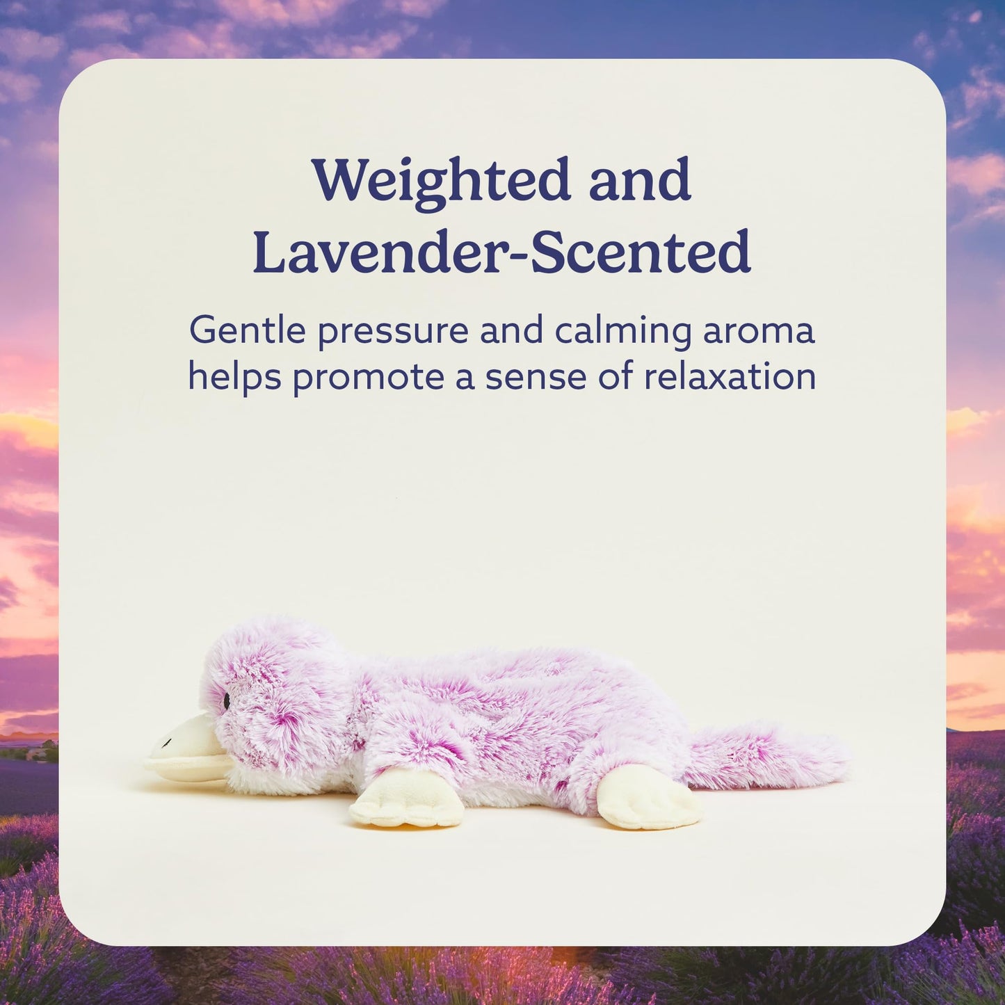 Warmies Microwavable Weighted Platypus Plush - Heated Stuffed Animal for Warmth, Comfort & Stress Relief - Soft Toy for Kids & Adults