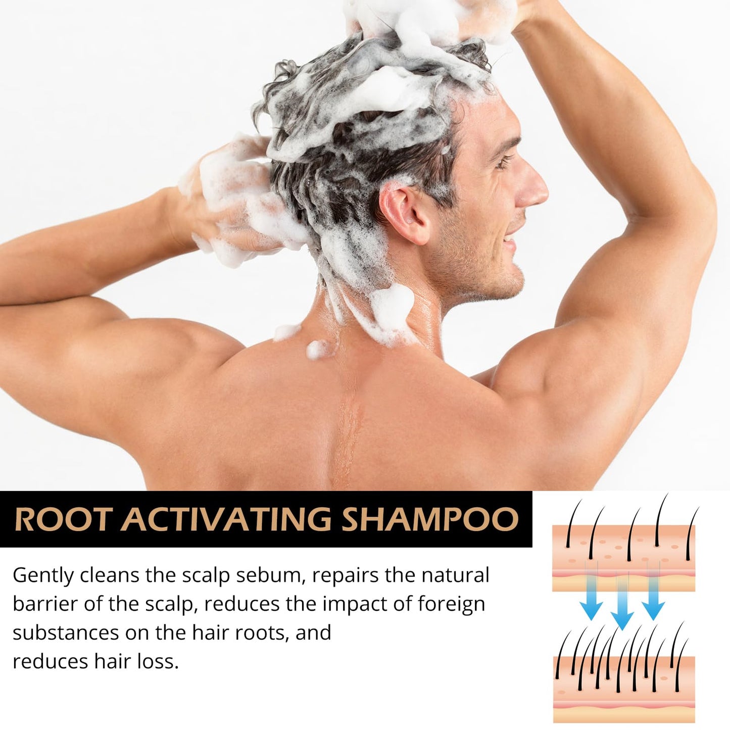 Root Activator Shampoo 2PCS – Anti Hair Loss & Shedding Treatment | Natural Regrowth Formula | Thickening, Nourishing & Smoothing for All Hair Types