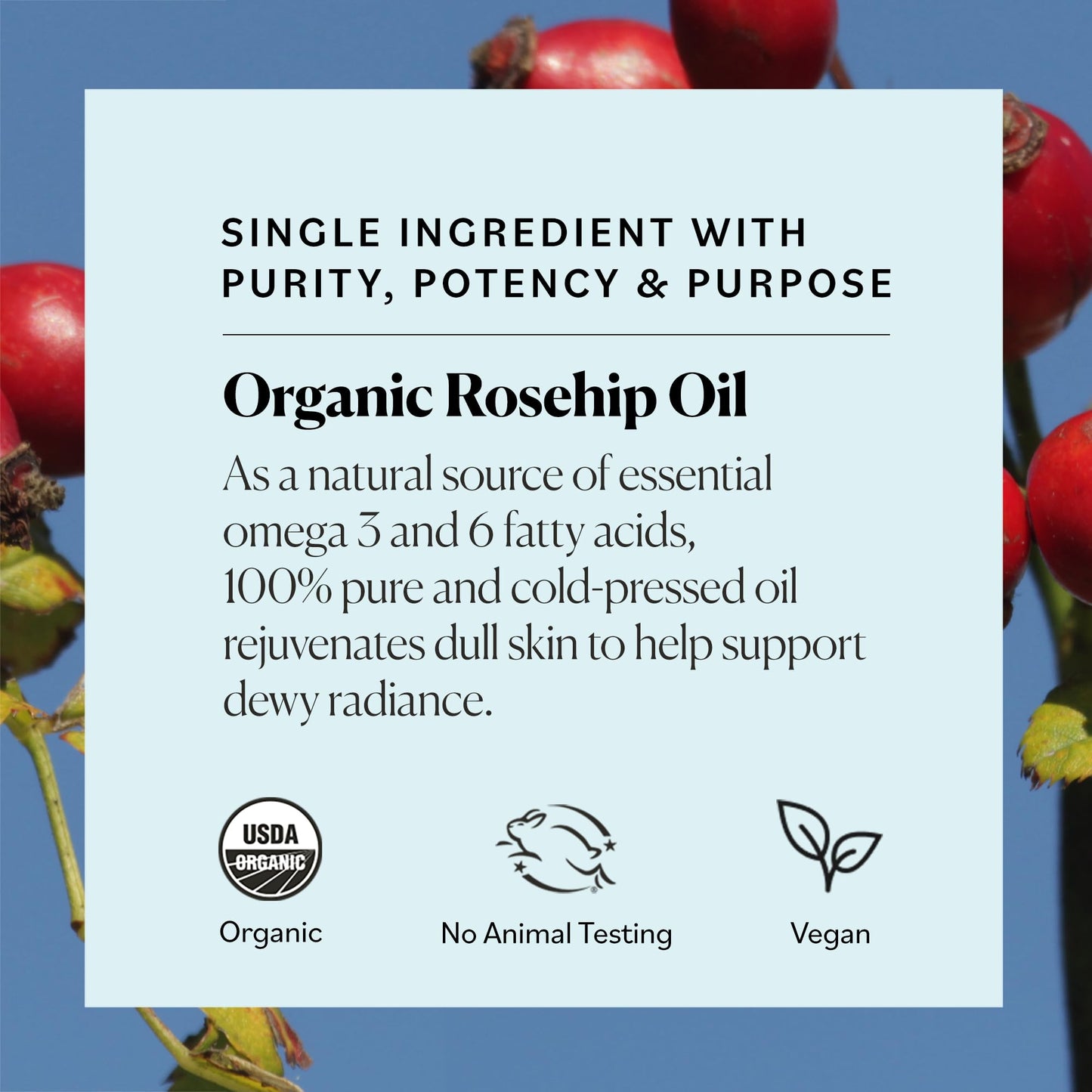 Sky Organics Organic Rosehip Oil (1oz) – 100% Pure Cold-Pressed Rosehip Seed Oil for Radiant Skin, Hair & Acne, Anti-Aging Antioxidant Face Oil