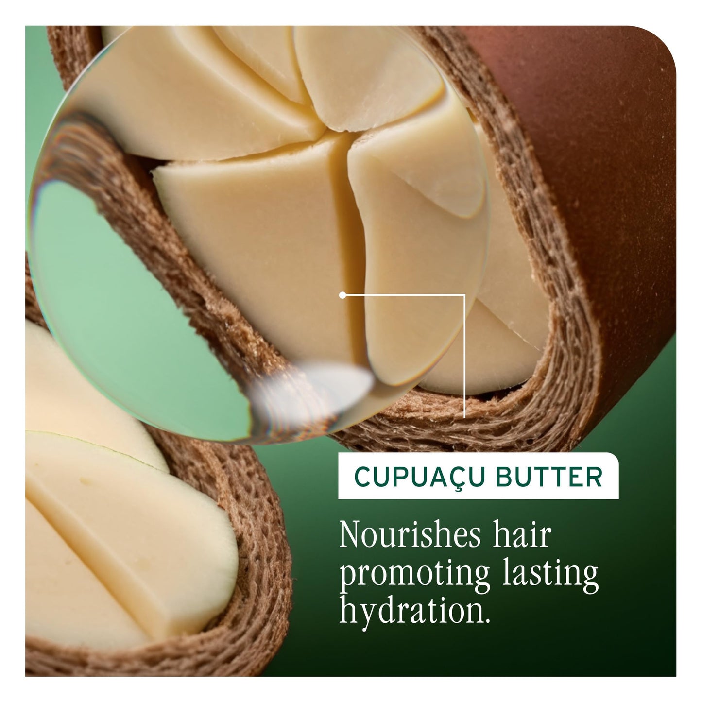 Biolage Ultra Hydra Source Shampoo – Deep Moisture & Hydration for Very Dry, Thick Hair, Tames Frizz, with Cupuaçu Butter & Salicylic Acid, 13.5 Fl Oz