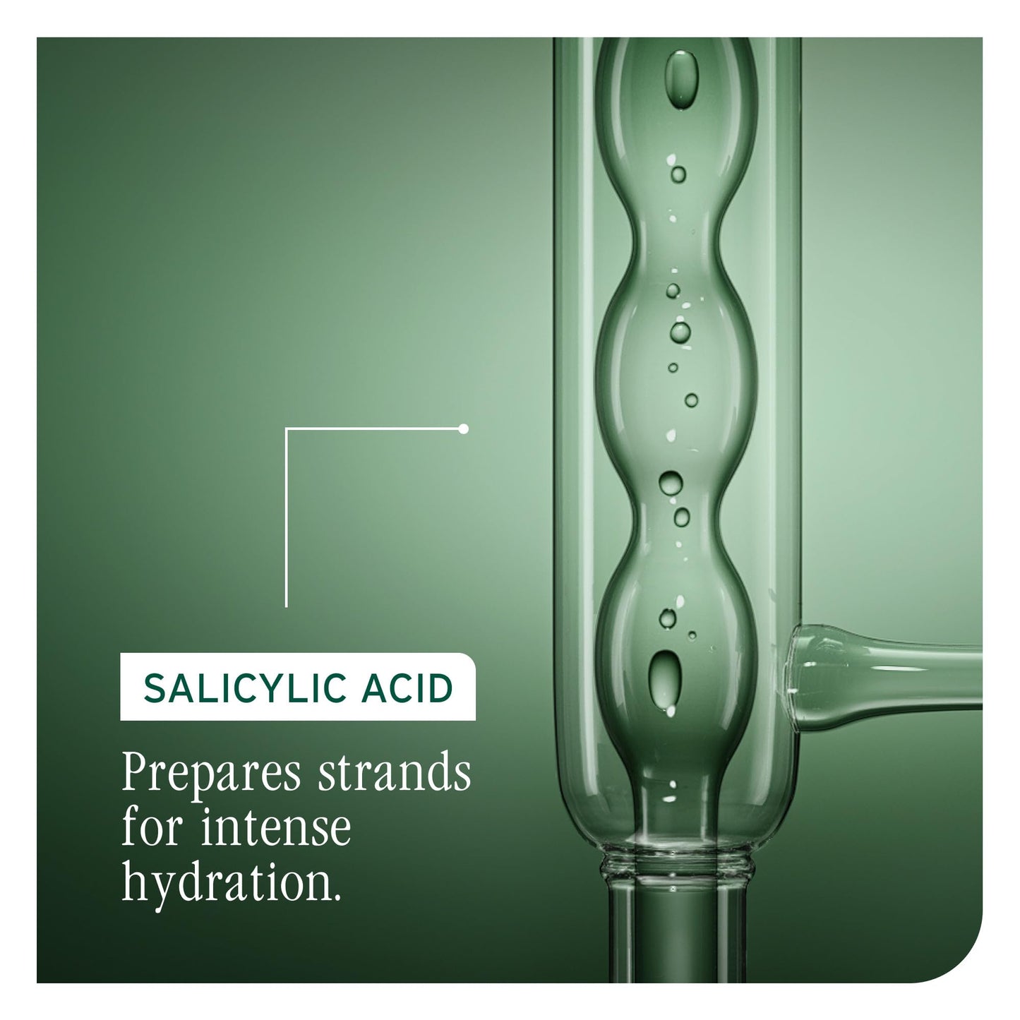 Biolage Ultra Hydra Source Shampoo – Deep Moisture & Hydration for Very Dry, Thick Hair, Tames Frizz, with Cupuaçu Butter & Salicylic Acid, 13.5 Fl Oz