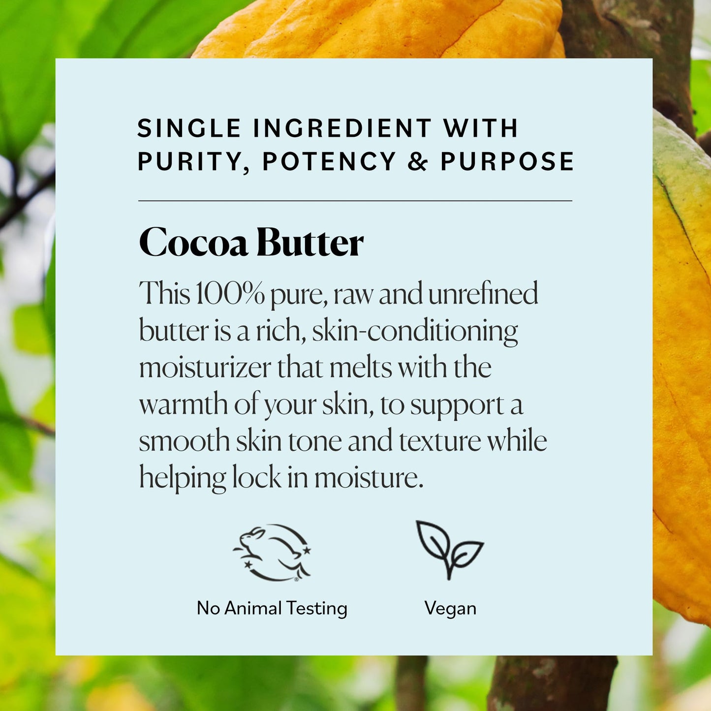 Sky Organics 100% Raw Cocoa Butter – Ultra-Moisturizing, Hydrates & Smooths Skin, Deep Conditioning for Dry or Tight Skin, 16oz