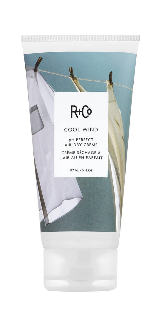 R+Co Cool Wind pH Perfect Air Dry Hair Cream (5 Oz) | Hydrates + Tames + Softens | Vegan + Cruelty-Free |