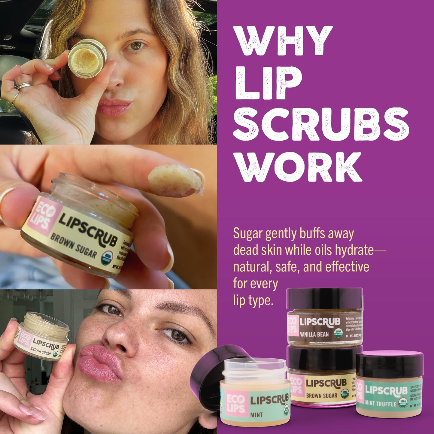 Eco Lips Lip Sugar Scrub 4-Pack, 100% Organic Lip Care, Exfoliates & Moisturizes with Sugar & Coconut Oil, 4 x 0.25oz Jars