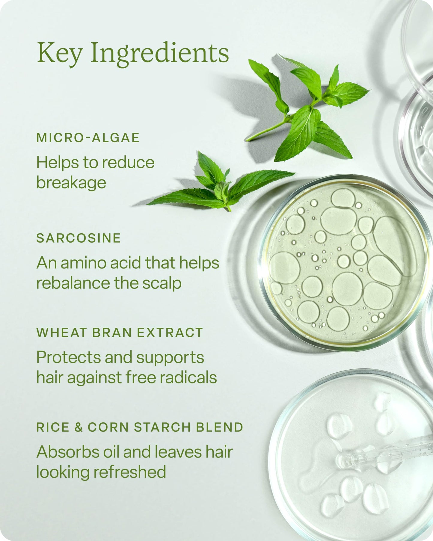 Divi Dry Shampoo Spray for Women, Oil-Absorbing & Scalp-Balancing, Extends Time Between Washes, Talc & Propane Free, 5.3oz