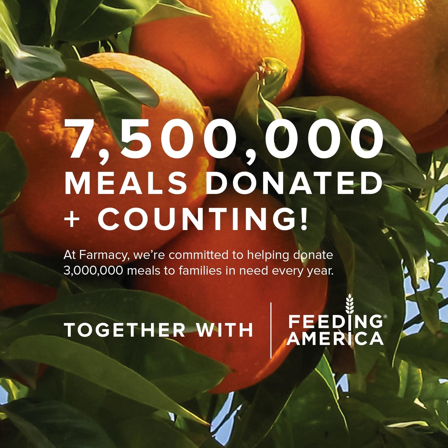 Farmacy Bestsellers Skincare Set – Green Clean Balm, Honey Halo Moisturizer, Wake Up Honey Eye Cream & Lip Smoothie – Travel Set for Glowing Skin