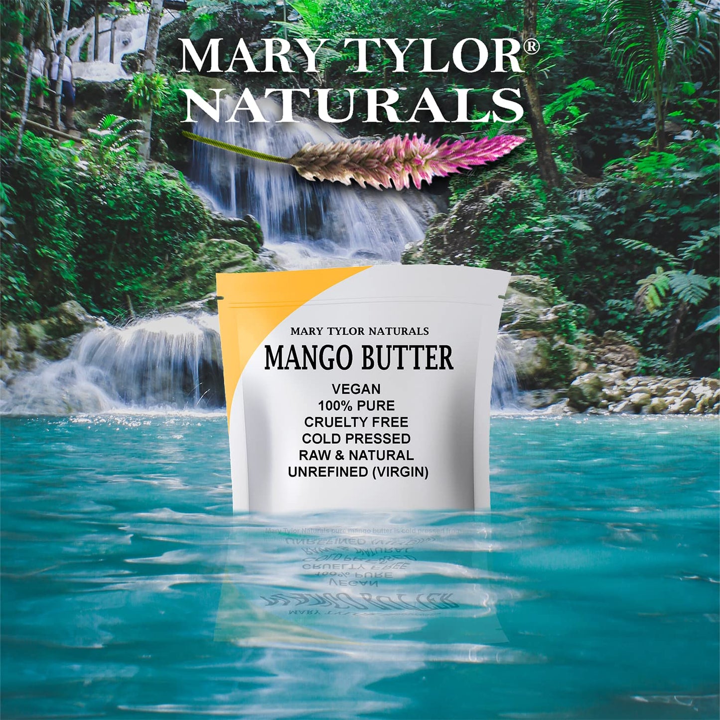 Mary Tylor Naturals Mango Butter 1 lb Cold Pressed, Unrefined,Raw Pure Mango Butter —