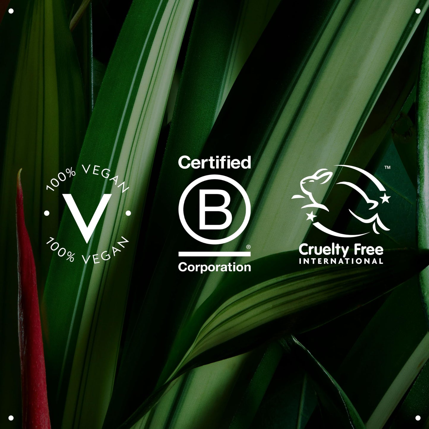 Aveda Be Curly Advanced Curl Enhancer Cream | Defines Curls & Waves, Reduces Frizz, Adds Shine | Silicone-Free, 98% Naturally Derived, 1.3 Fl Oz