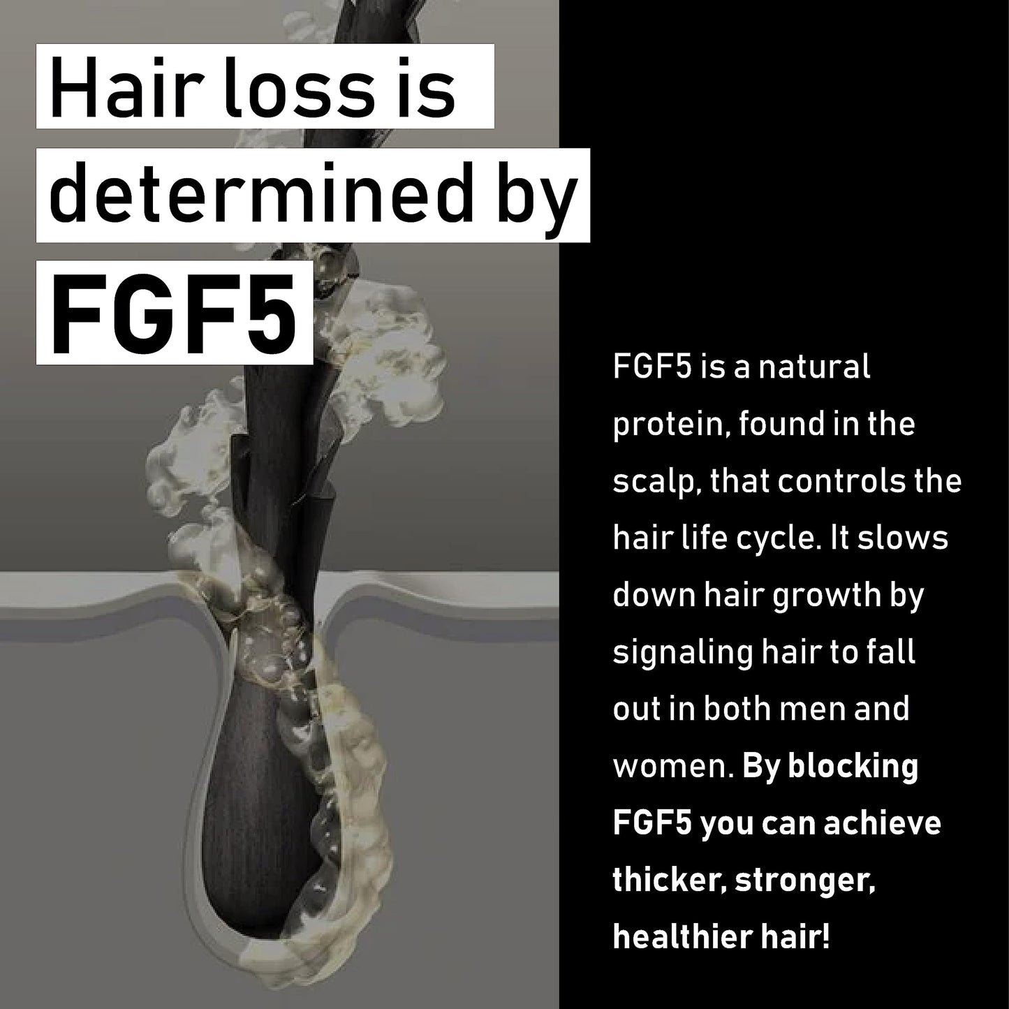 EVOLIS Reverse Thickening Conditioner for Fuller-Looking Hair – Keratin Treatment & Formula for Thinning Hair (8.5 fl oz)