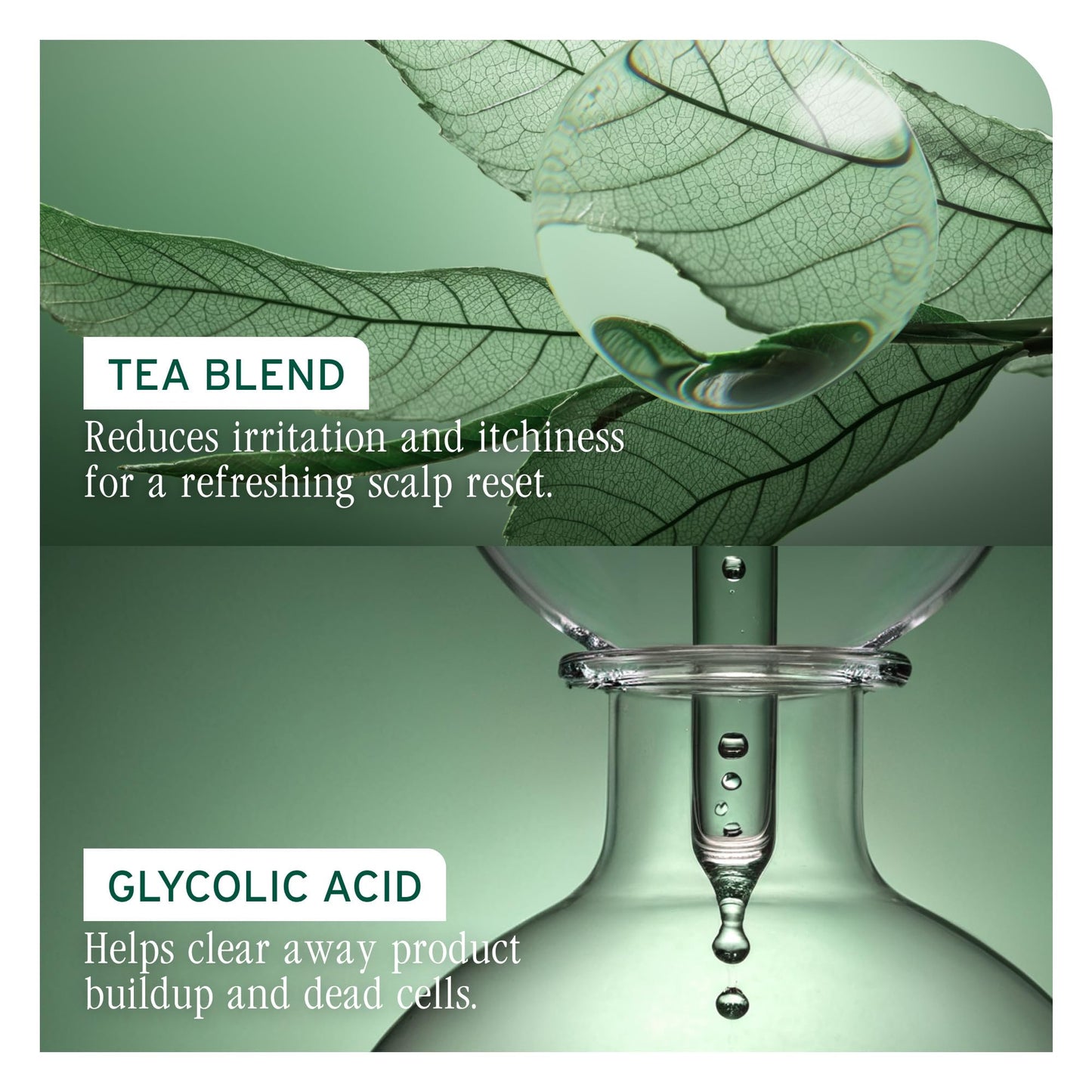 Biolage Scalp Sync Purifying Concentrate - Exfoliating & Clarifying Dry Scalp Treatment, Refreshing & Reinvigorating, Fermented Tea Blend & Glycolic Acid