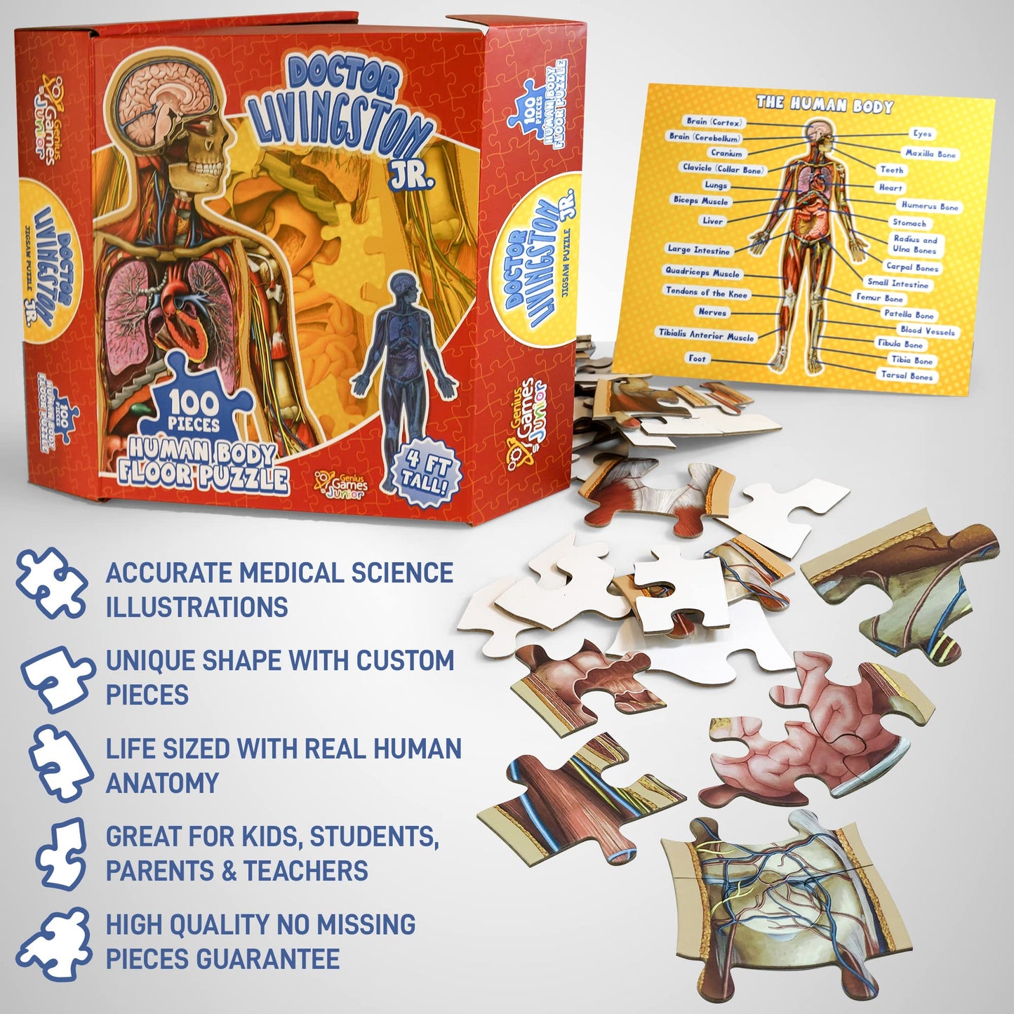 Human Anatomy Kids Floor Puzzle – Dr. Livingston Jr’s 100-Piece Full Body Jigsaw, 4ft Medically Accurate Educational Toy for Ages 6-10