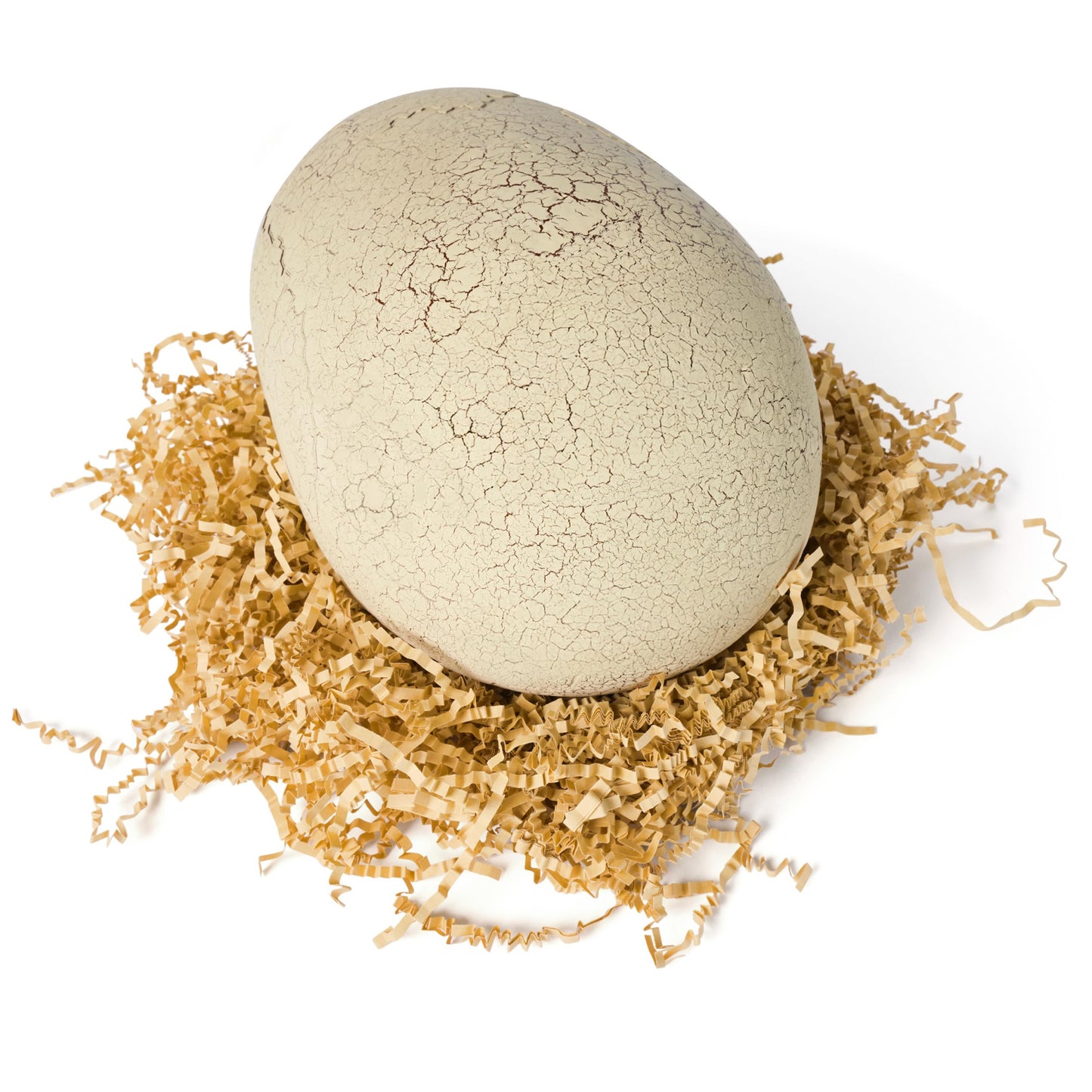 Primal Hatch Jurassic World Dinosaur & Egg Toy – Hatch, Train & Play with 100+ Sounds & Reactions, Kids Toy for Ages 5+