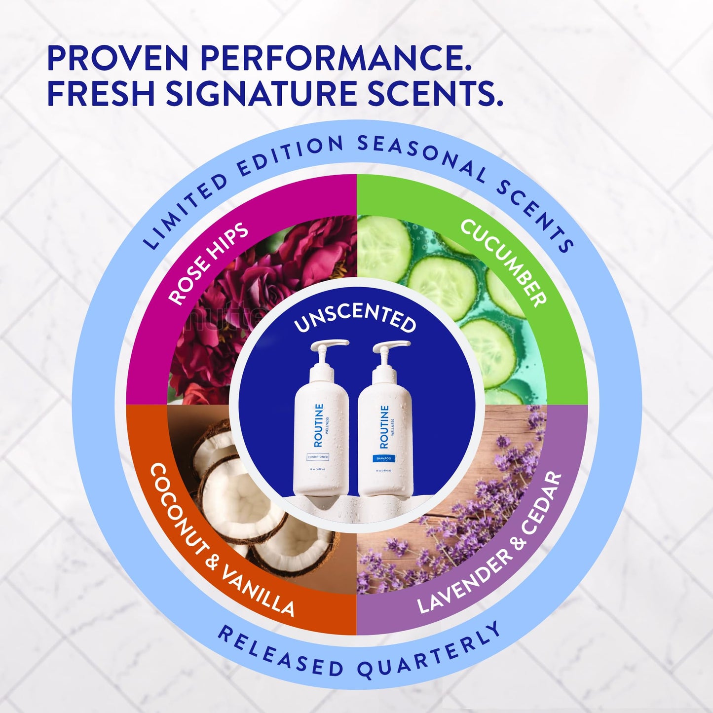 Routine Wellness Anti-Thinning Shampoo & Conditioner Set with Biotin & DHT Blocker – For Thinning Hair, Hair Loss & Growth – Rose Hips, Pack of 2