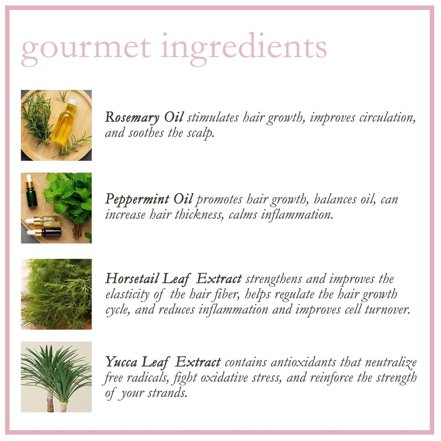 Camille Rose Rosemary Water Daily Strengthening Mist with Peppermint & Rosemary Oils | Boosts Growth & Strength for All Hair Types, 8 fl oz