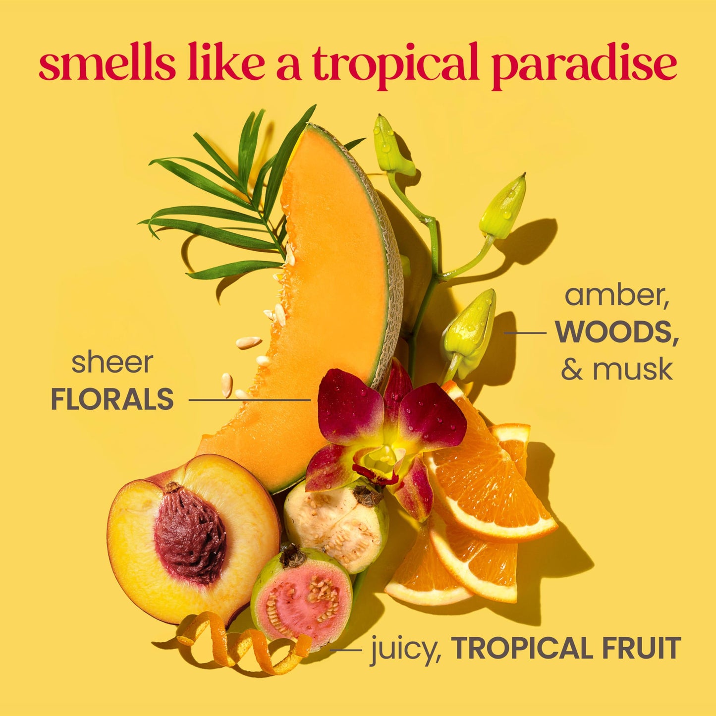 Burt's Bees Boosted Body Whipped Butter with Ceramide, Niacinamide & Peptides, Quick-Absorbing, Skin Barrier Support, Tropical 6.5oz