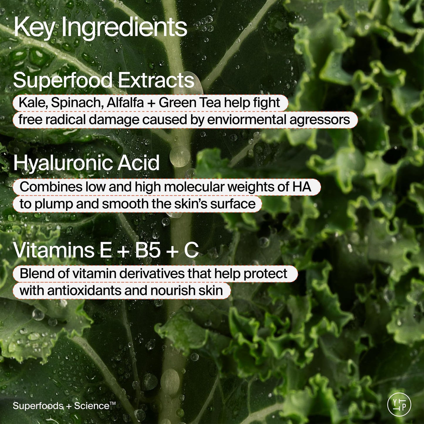 Youth To The People Superfood Air-Whip Moisture Cream - Kale & Green Tea Hyaluronic Face Moisturizer, Lightweight Gel, 48HR Hydration, 2 fl oz