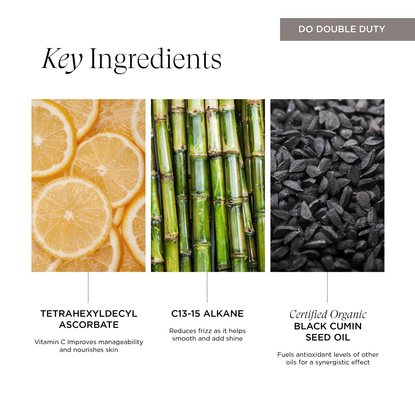 Intelligent Nutrients Shine Bright Vitamin C Hair Oil, Luxurious Radiance and Strengthening for All Hair Types, Vegan, 1.7 Oz