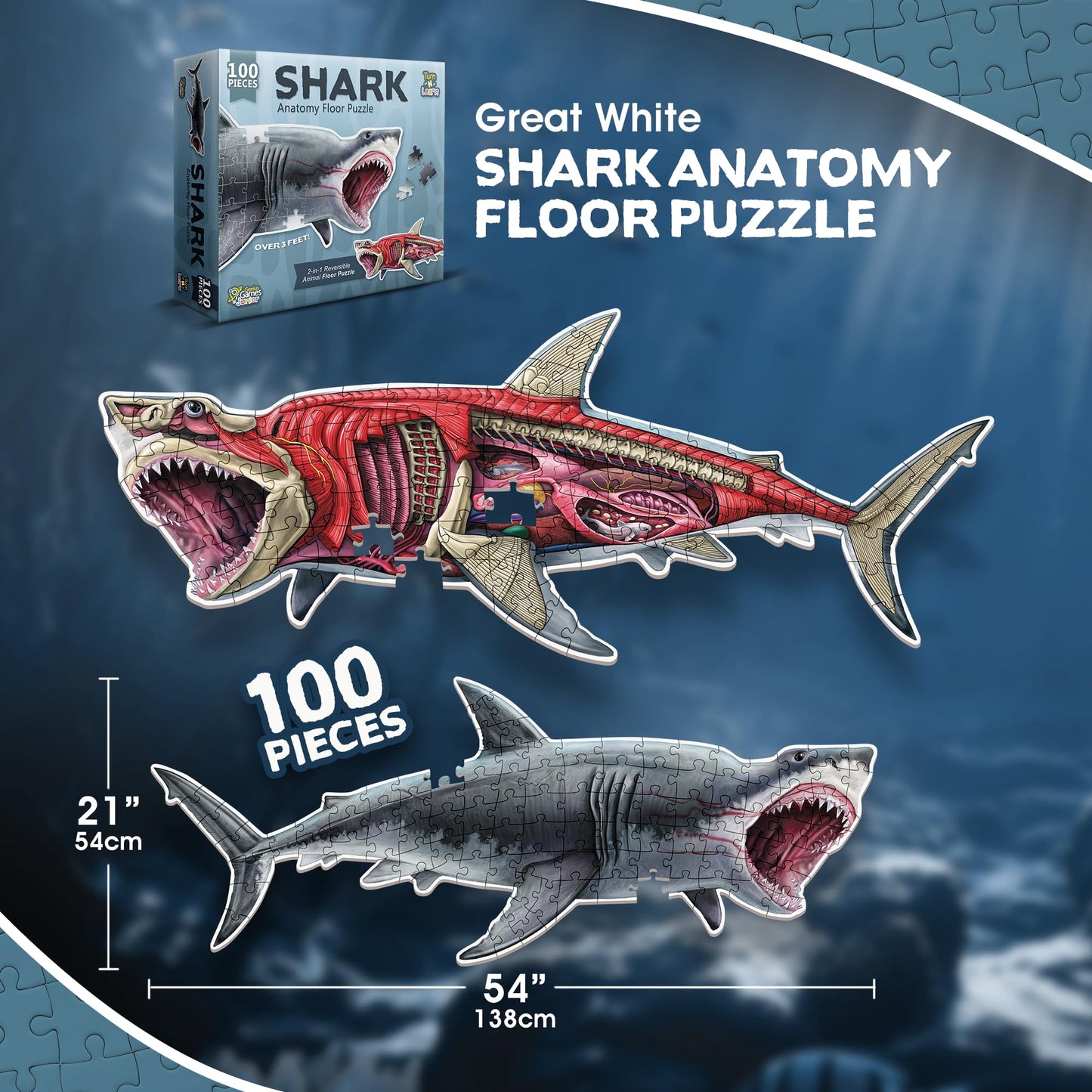 Shark Animal Anatomy 100-Piece Double-Sided Floor Puzzle – Large Educational Jigsaw for Kids Ages 3-10, Toddlers & Family Fun