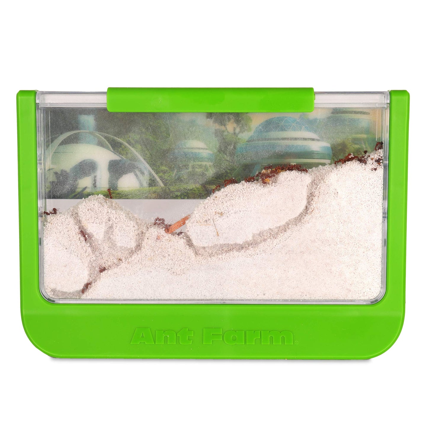 Uncle Milton Ant Farm Antopia Rainforest Ant Habitat - Observe Live Ants - STEM -Nature Learning Toy Green For 6 - 15 years