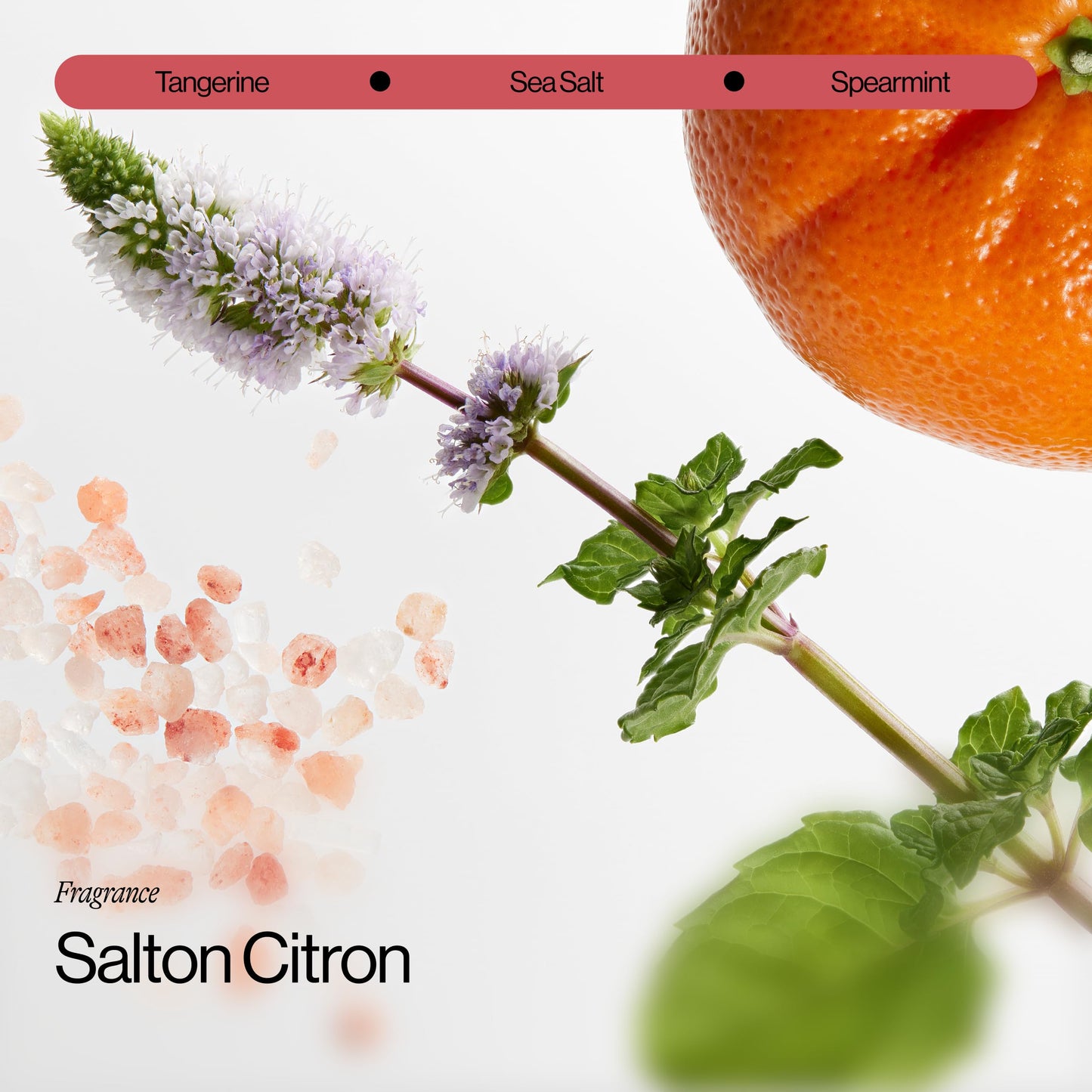 Eva NYC Lift Off Volumizing + Thickening Hair Mist, Volumizing Spray for Fine Hair, 5.4 fl oz