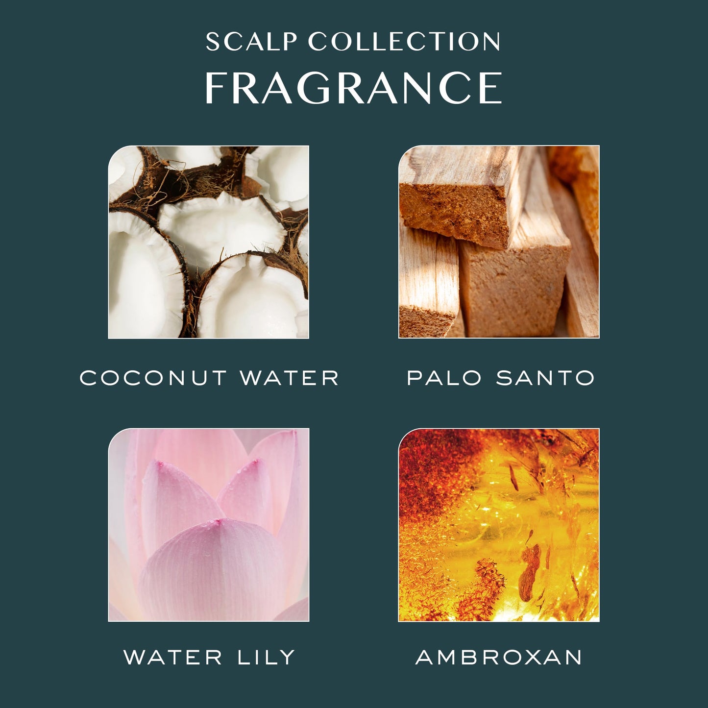 Kristin Ess Hair Scalp Scrub – Exfoliating, Hydrating & Soothing Treatment for Dandruff, Build-Up, Dry Scalp – Vegan, Color-Safe, 6.7 fl oz