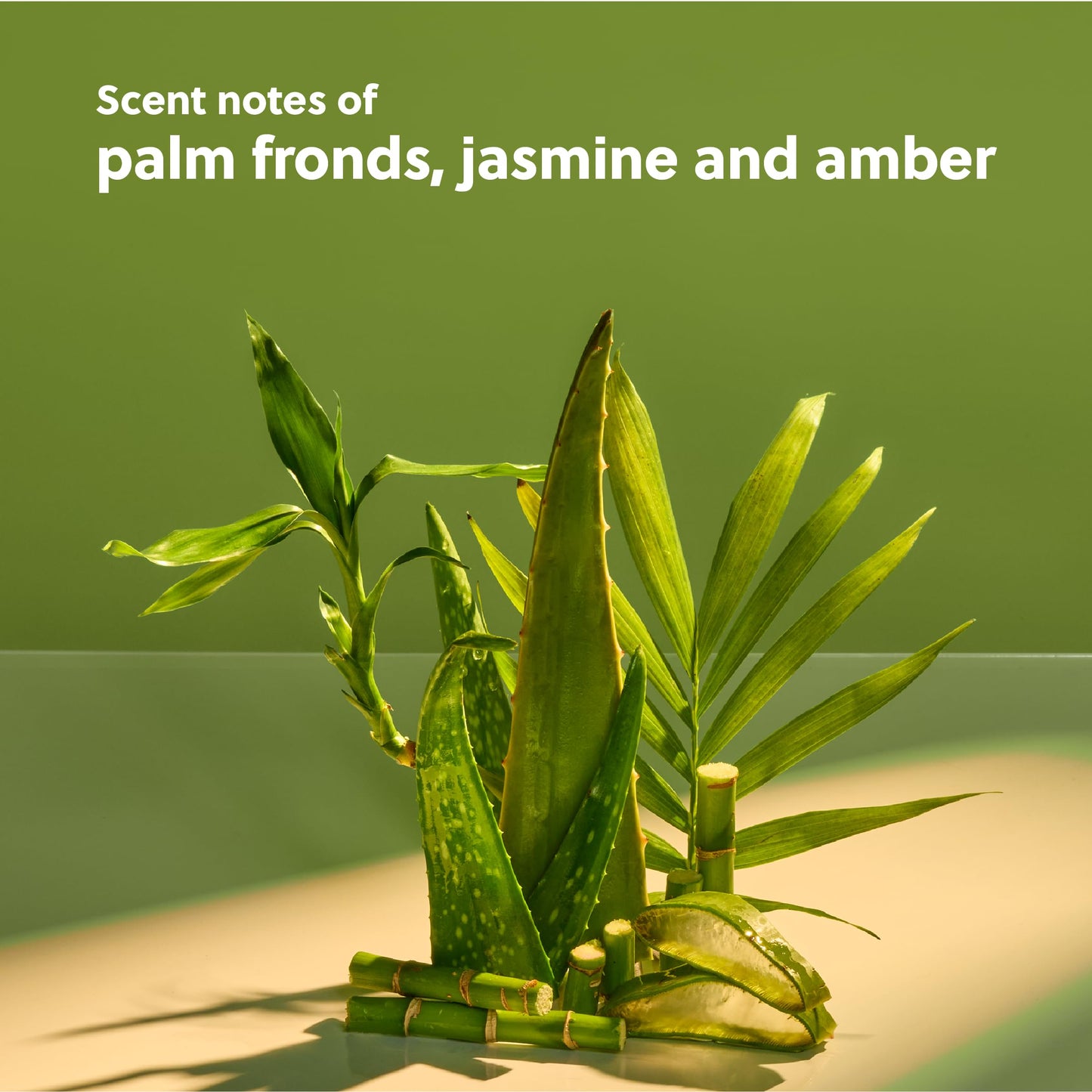 Tree Hut Palm Grove Shea Sugar Scrub, 18 oz – Exfoliating, Hydrating & Moisturizing with Shea Butter & Essential Oils for Smooth Skin