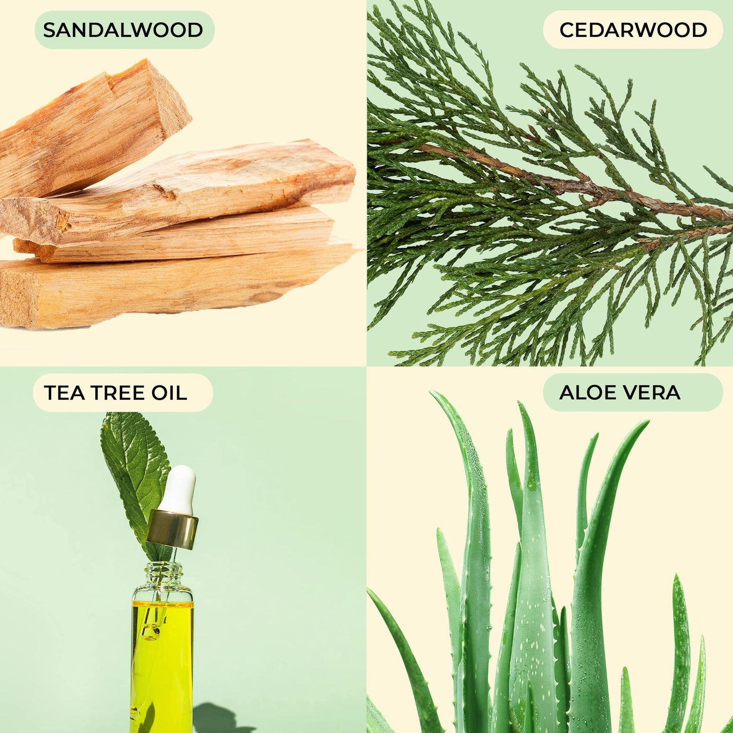 Body Prescriptions Men’s Exfoliating Body Scrub – 21oz Jar, Ultimate Skin Cleansing Wash for All Skin Types, Pack of 4 Combo