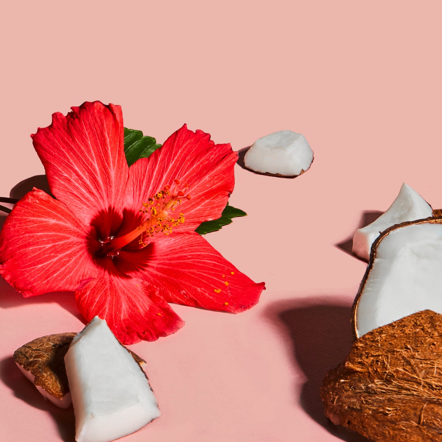 SheaMoisture Curling Styling Cream For Curl Definition Coconut & Hibiscus Curl and Detangle Kids Hair 6 oz