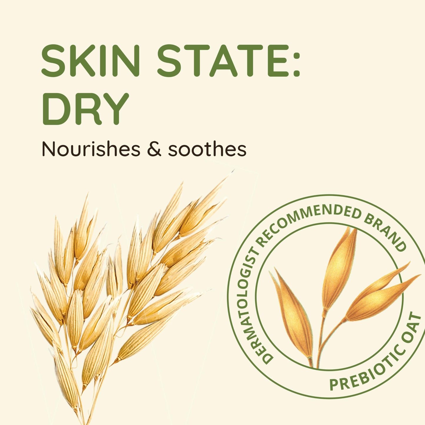 Aveeno Daily Moisturizing Body Wash for Sensitive Skin, Prebiotic Oat, Nourishing & Gentle Cleanse, Light Scent, 36 fl. oz Refill