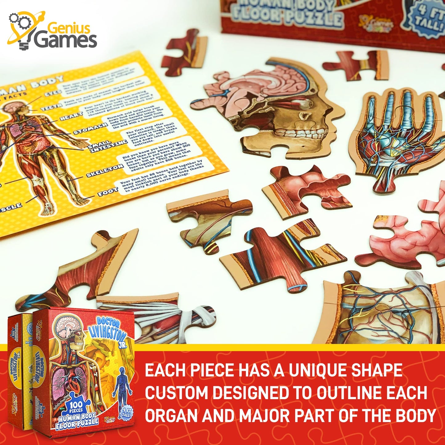 Human Anatomy Kids Floor Puzzle – Dr. Livingston Jr’s 100-Piece Full Body Jigsaw, 4ft Medically Accurate Educational Toy for Ages 6-10