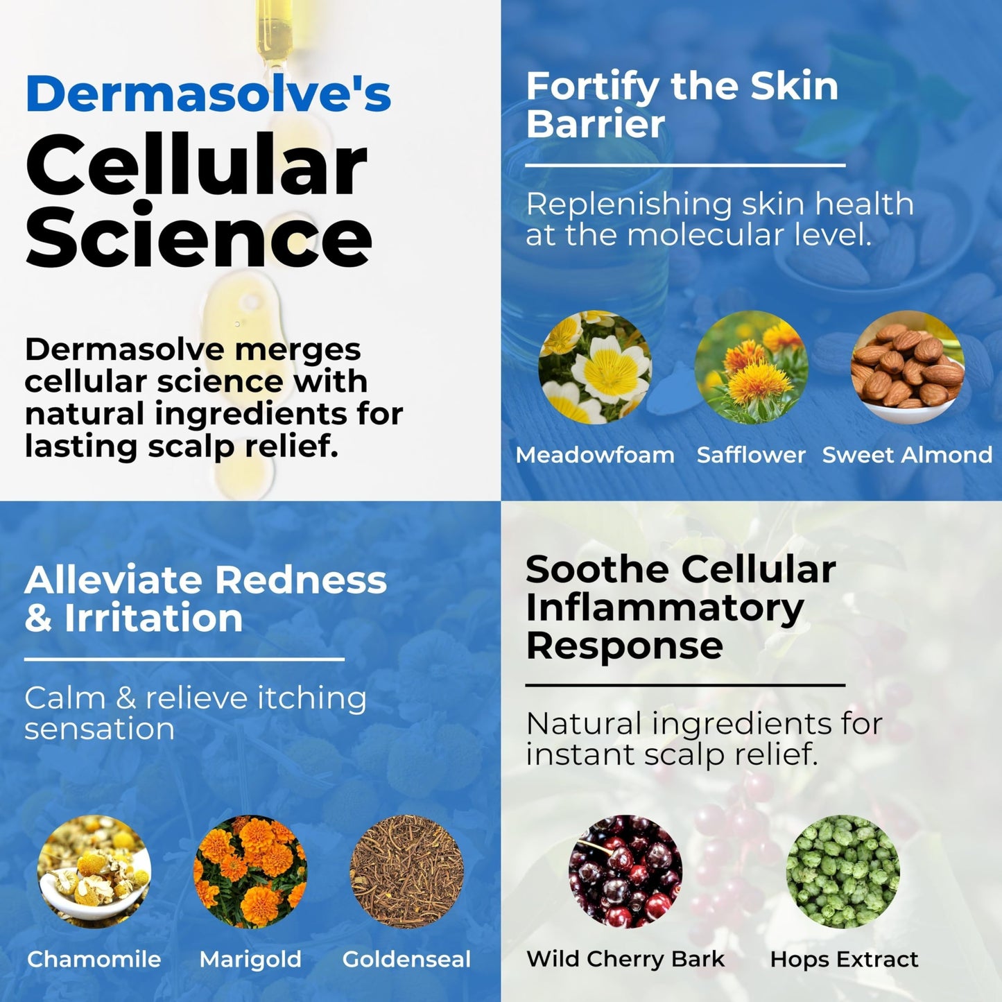 Dermasolve Scalp Oil 4 oz – Psoriasis, Seborrheic Dermatitis & Dandruff Relief – Dermatologist Approved, Itch-Free, Flake Control Formula