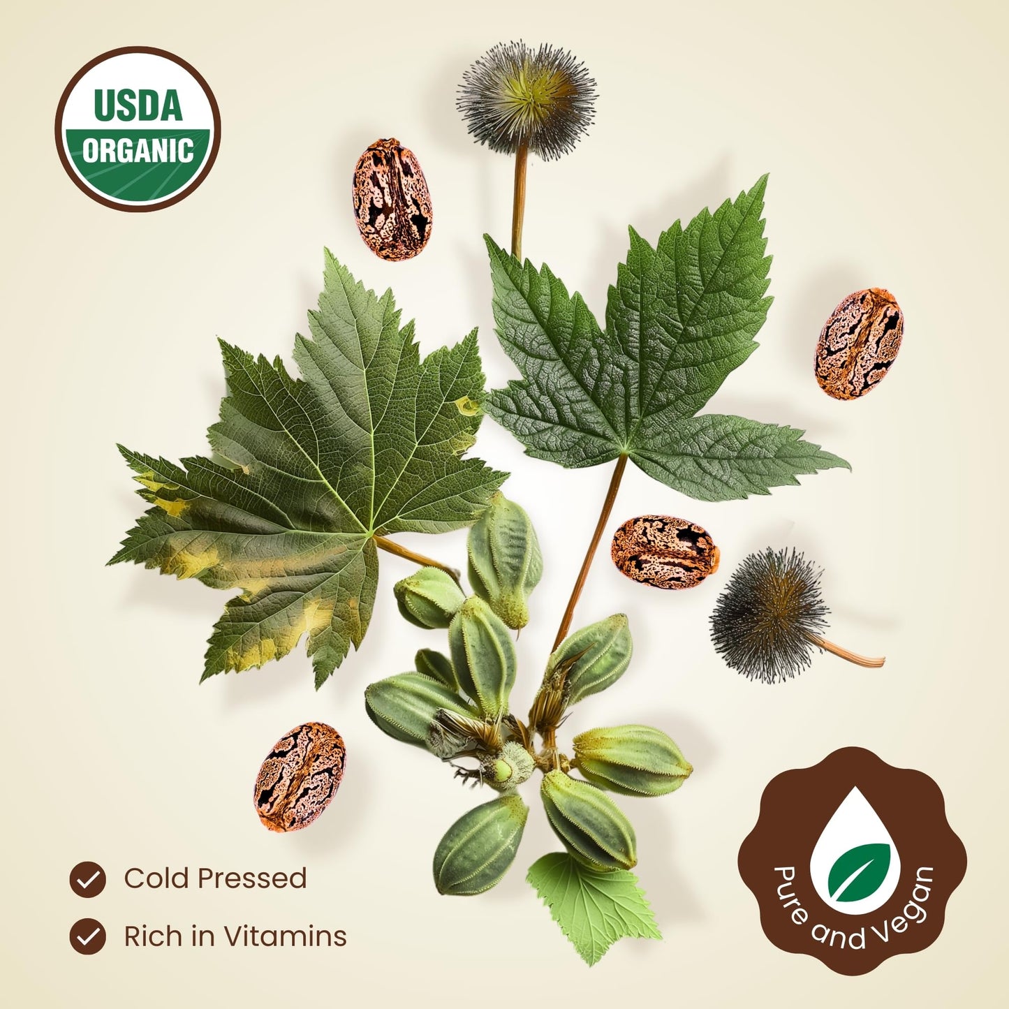 BodyJ4You Organic Castor Oil 4oz – 100% Pure Cold Pressed USDA Organic, Hexane-Free, Non-GMO – Lash & Brow Kit with Mascara Tube, Brush & Wand